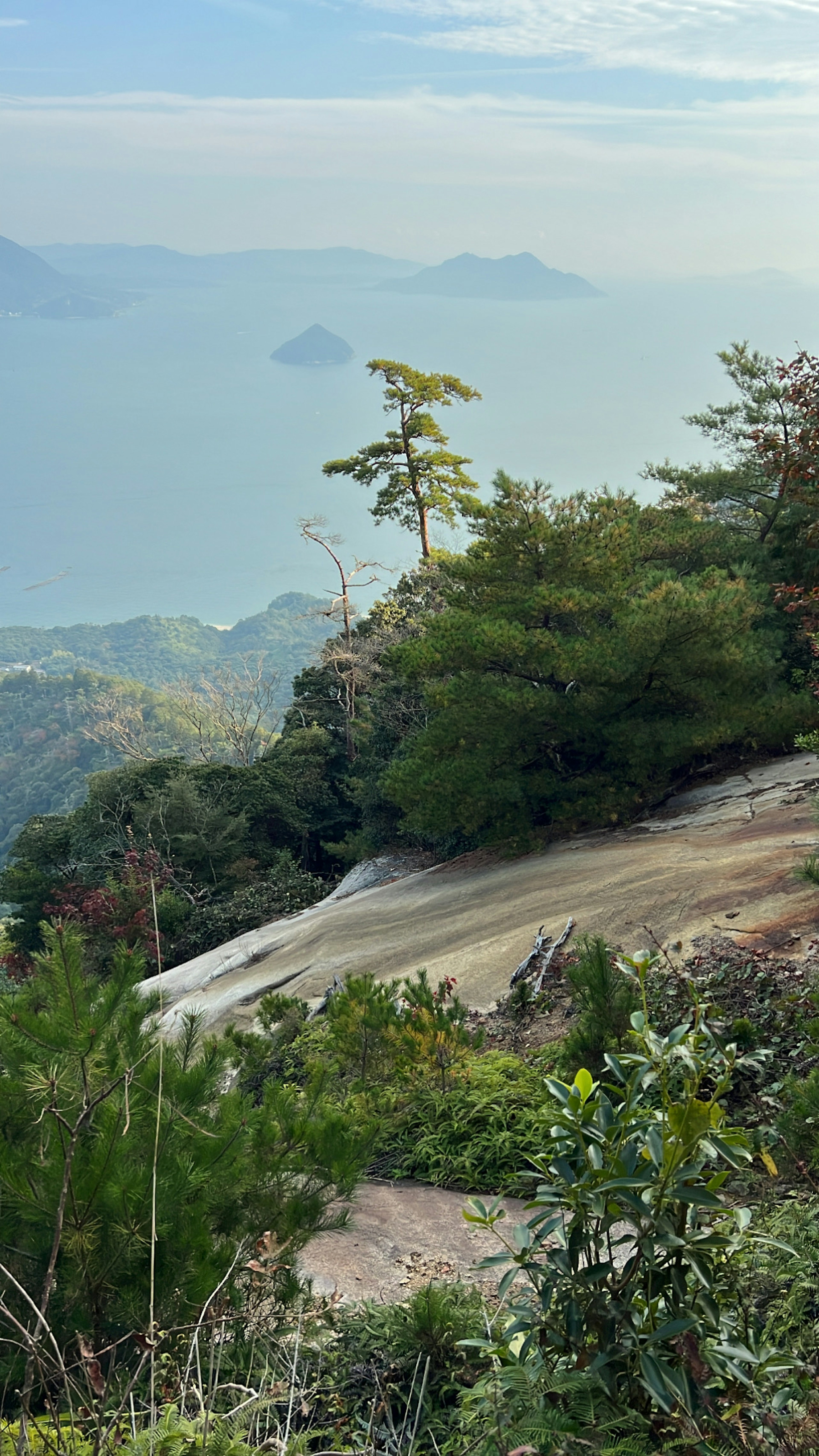 Pemandangan pesisir dengan pohon hijau dan pegunungan