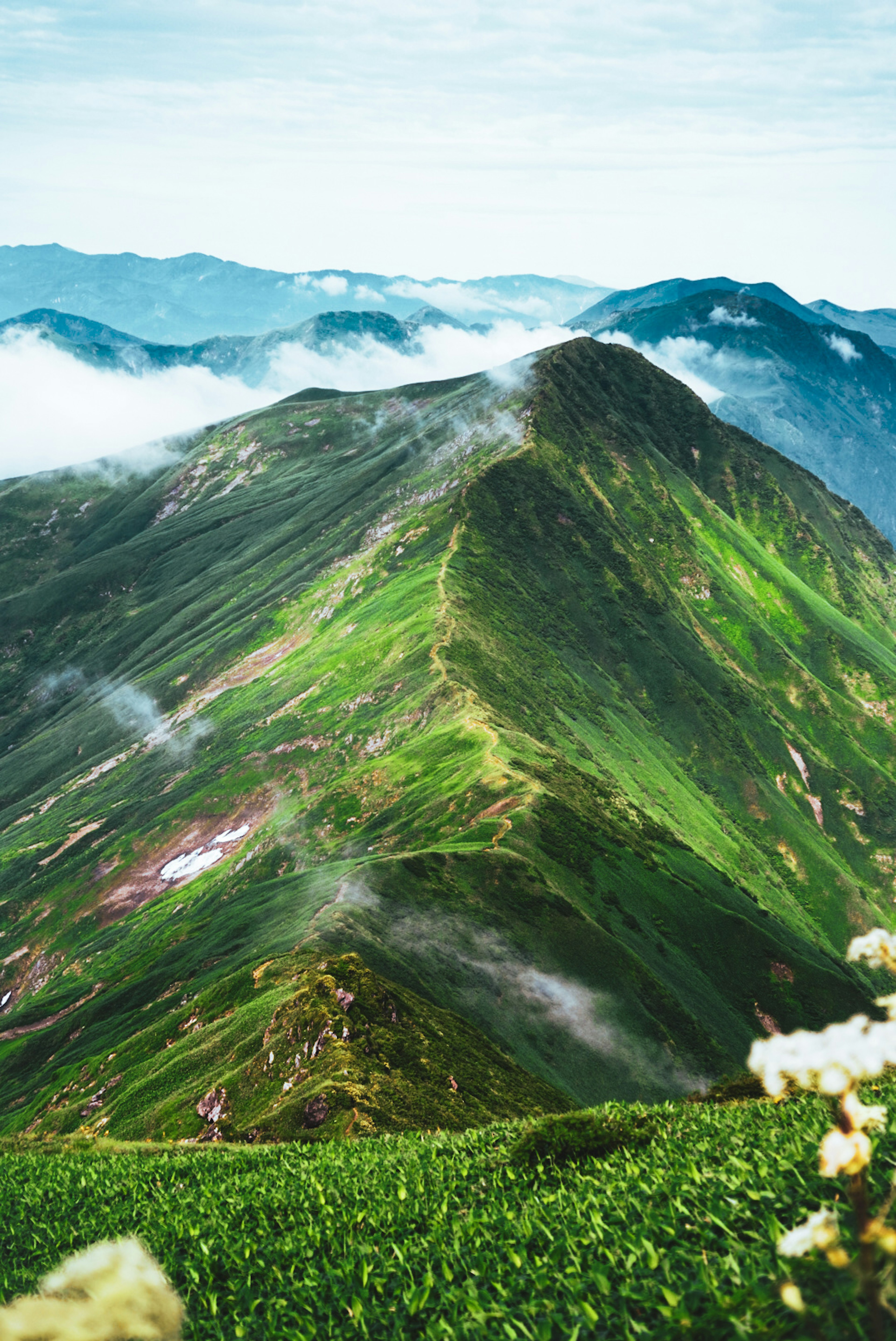 緑豊かな山の峰が雲に覆われた風景