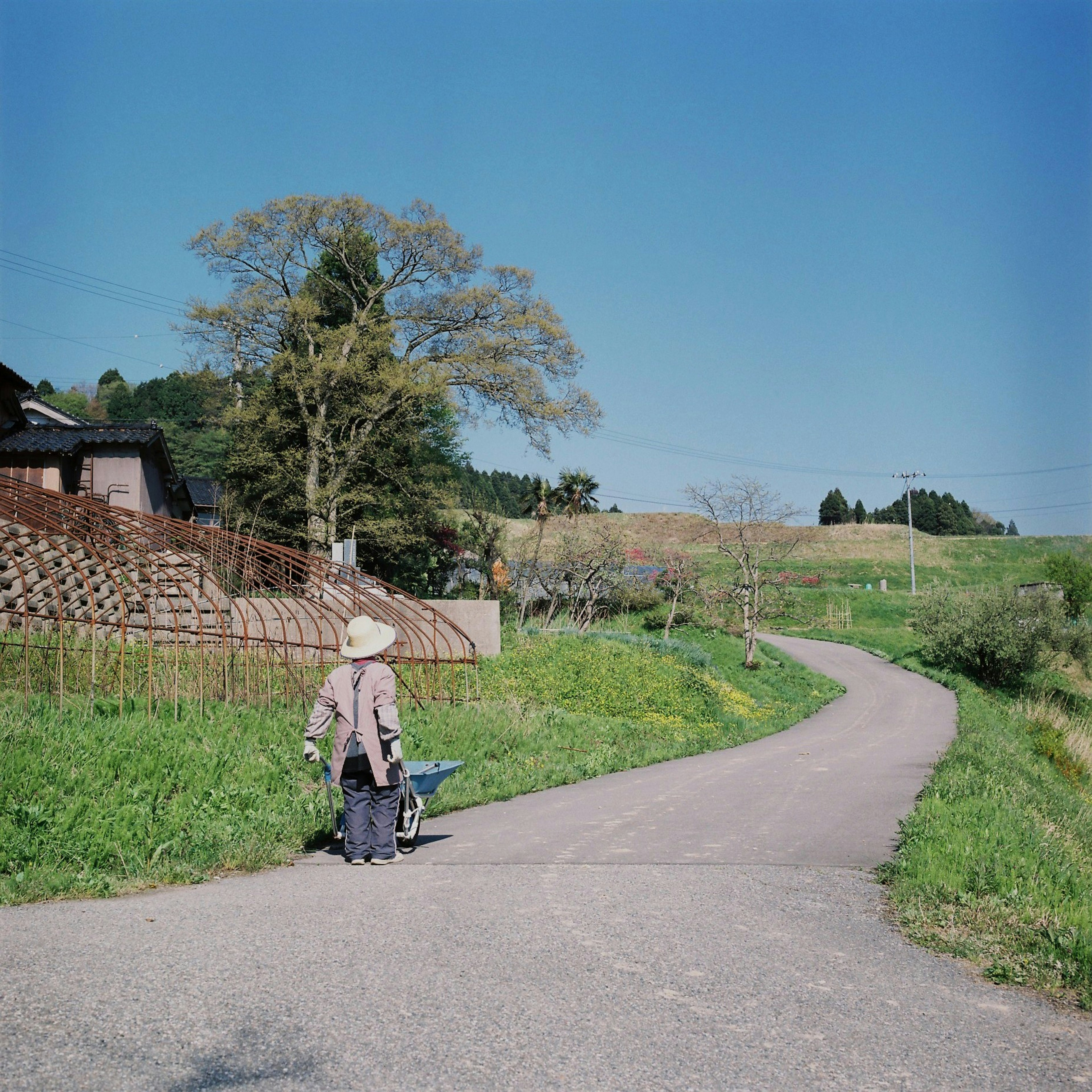 Farmer standing at a bend in the path with clear blue sky