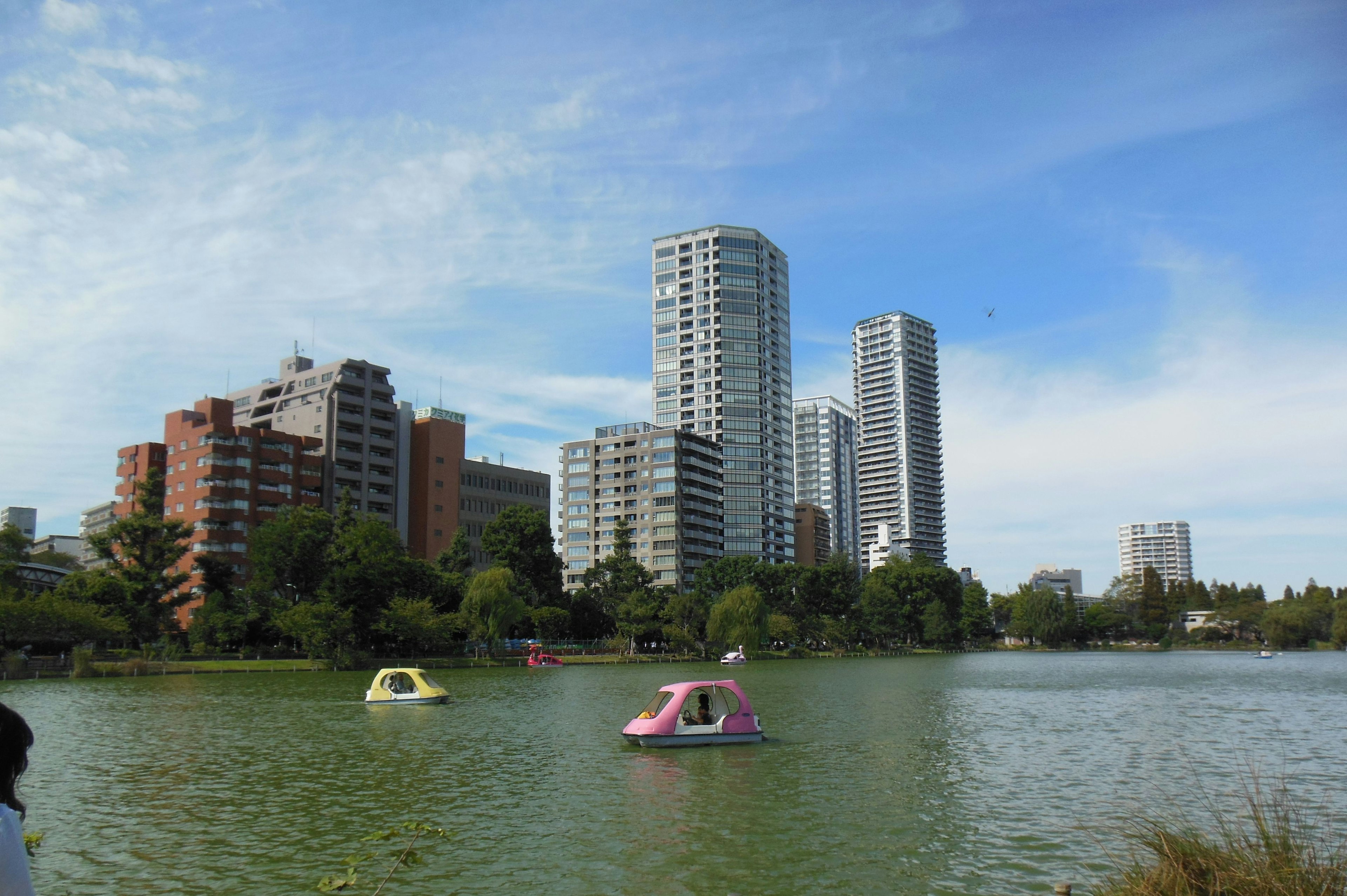 Vue de bateaux à pédales sur un lac vert avec des immeubles en arrière-plan