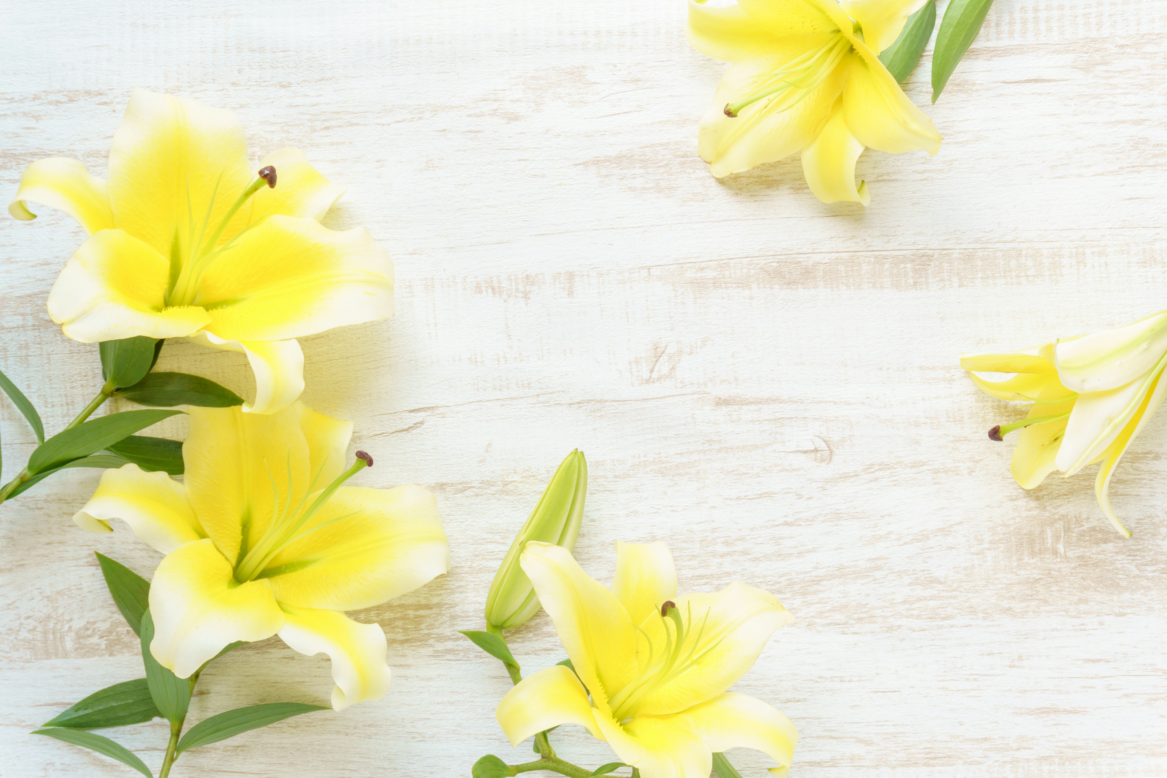 Gelbe Lilien auf einem Holztisch verteilt