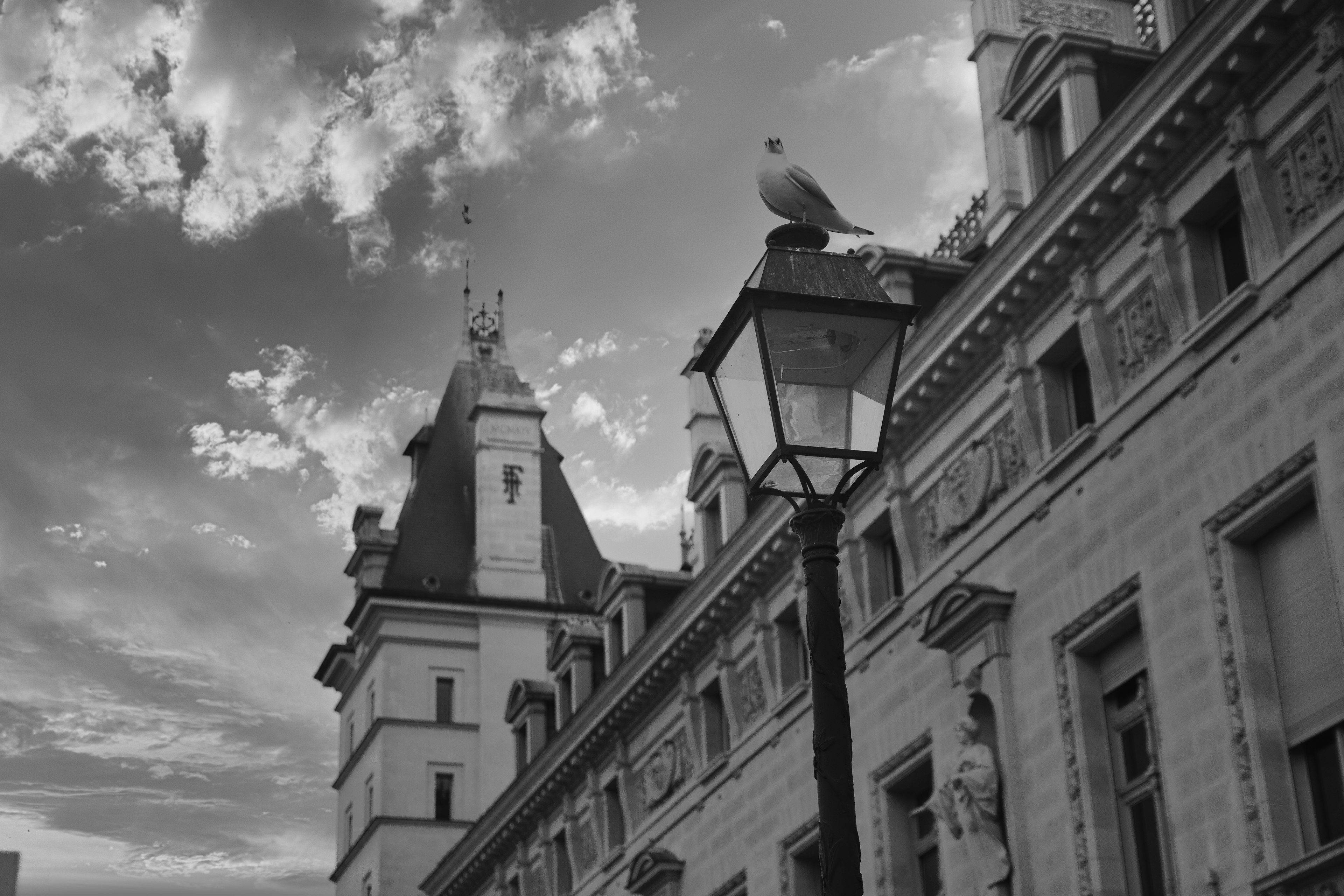 Black and white cityscape featuring a pigeon on a lamppost