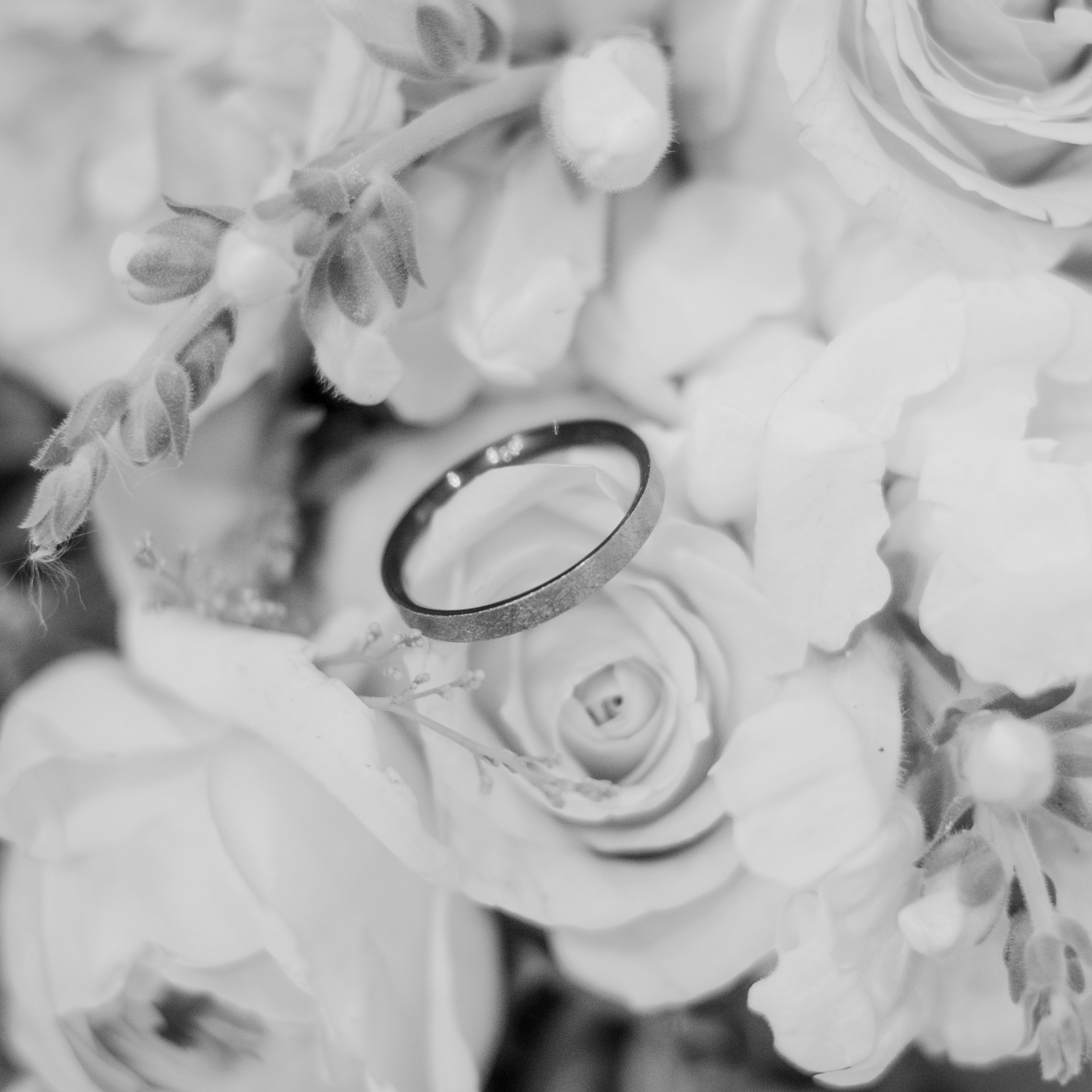 Bague de mariage simple placée parmi des fleurs blanches en noir et blanc