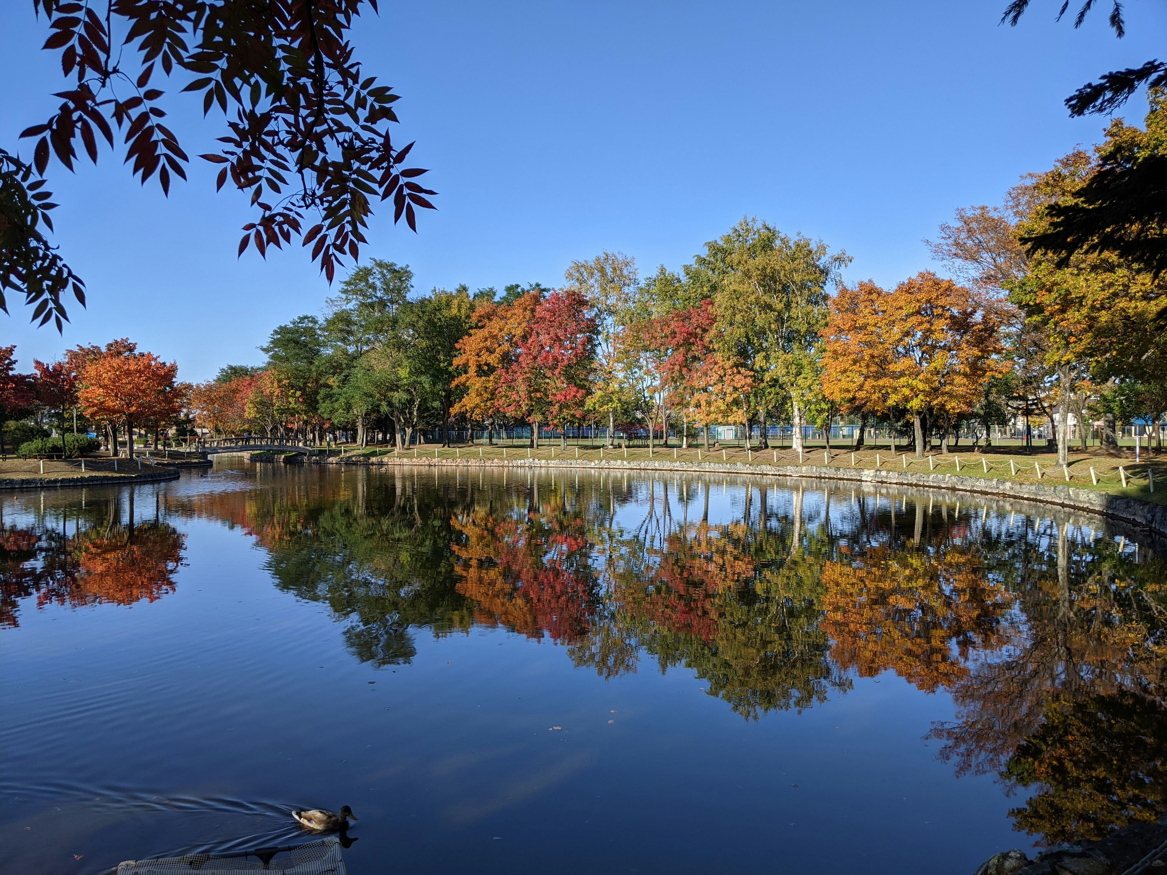 A serene lake reflecting colorful autumn trees under a clear blue sky