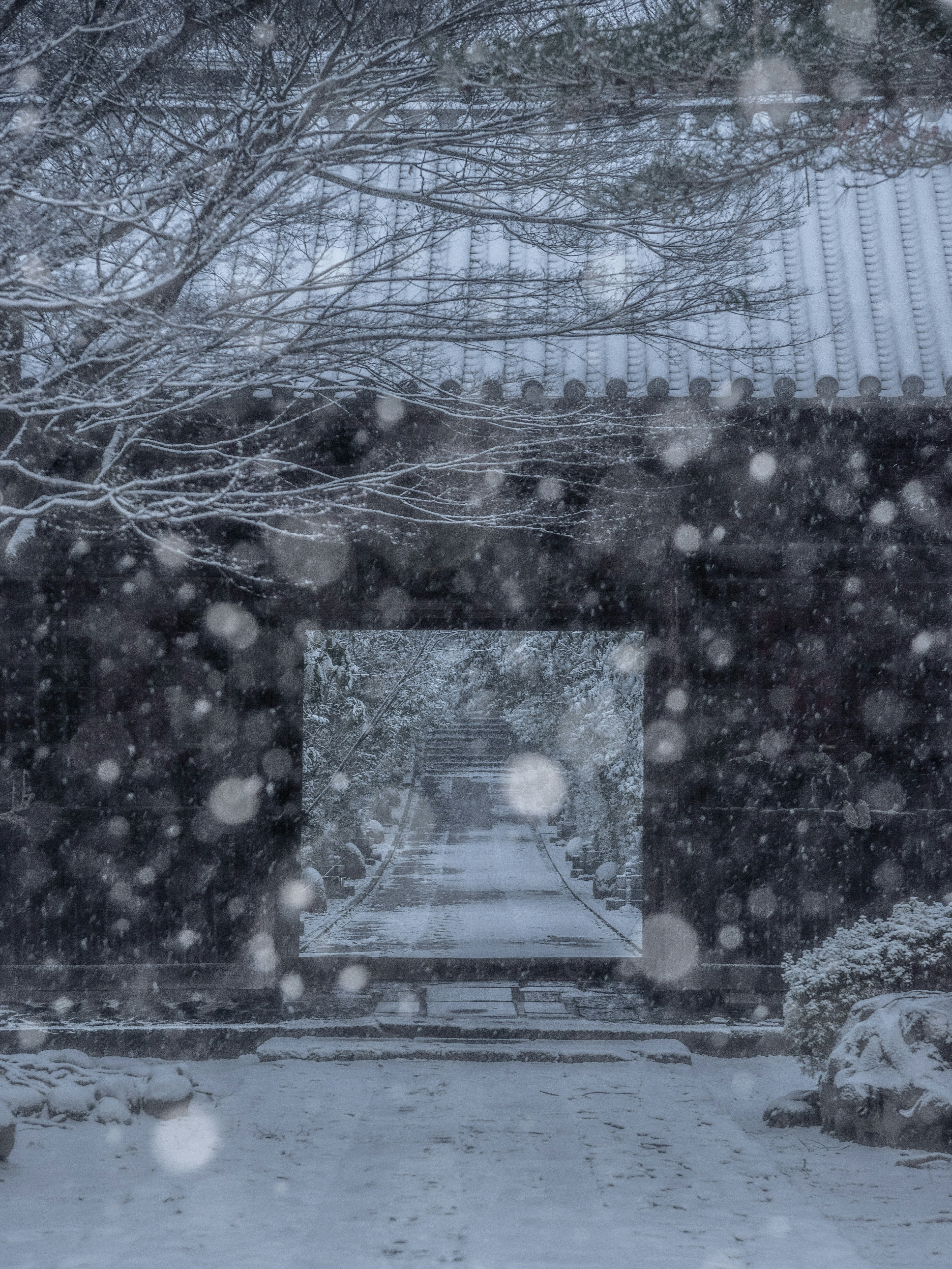 雪が降る中の寺の門と道