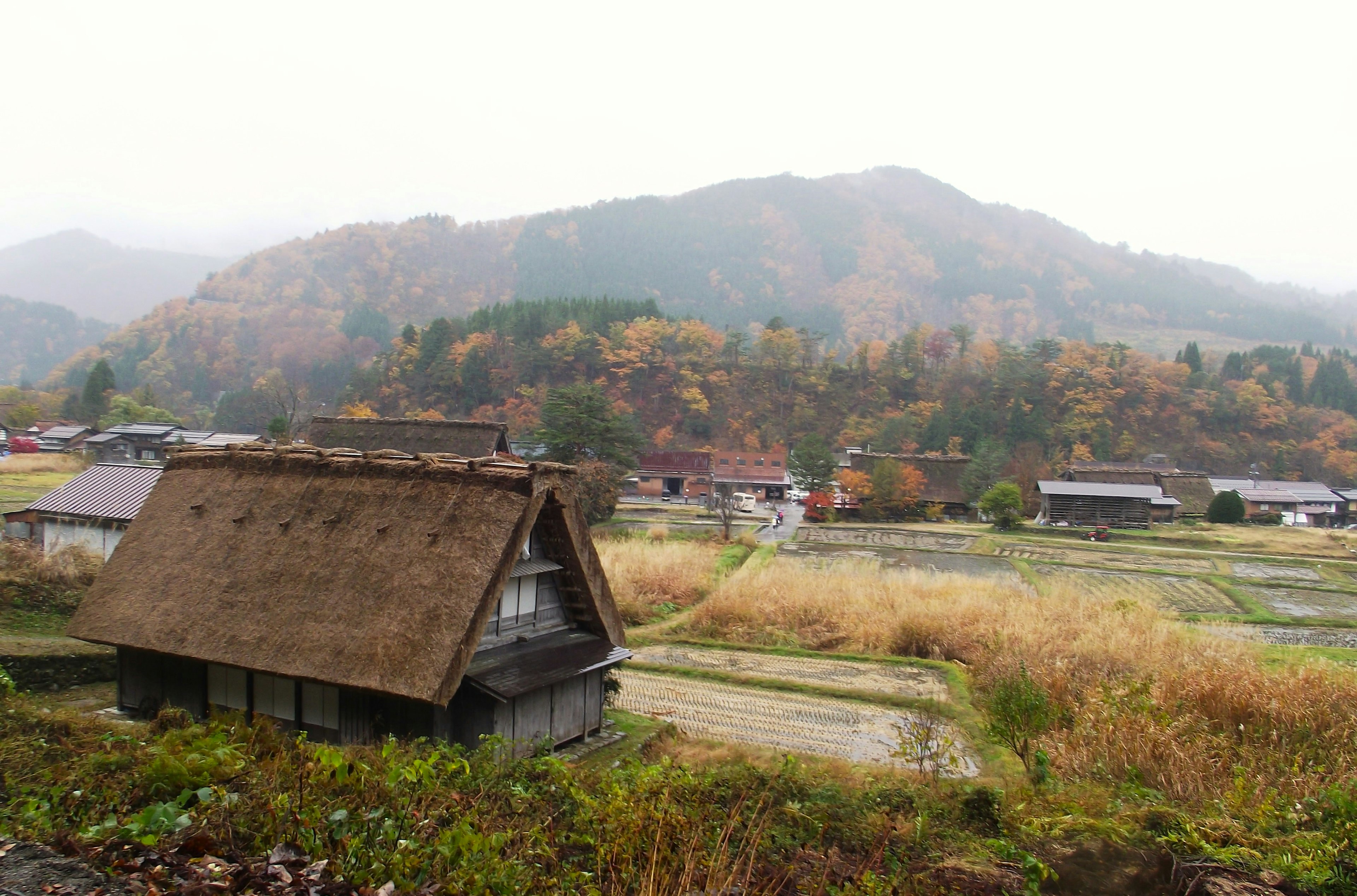 Traditional thatched-roof house surrounded by beautiful autumn landscape