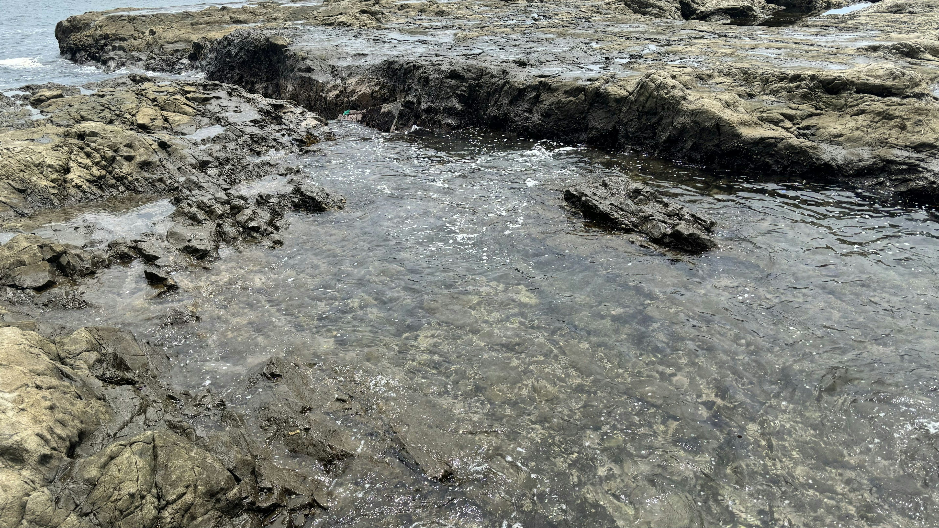 Rocky shoreline with shallow water pools