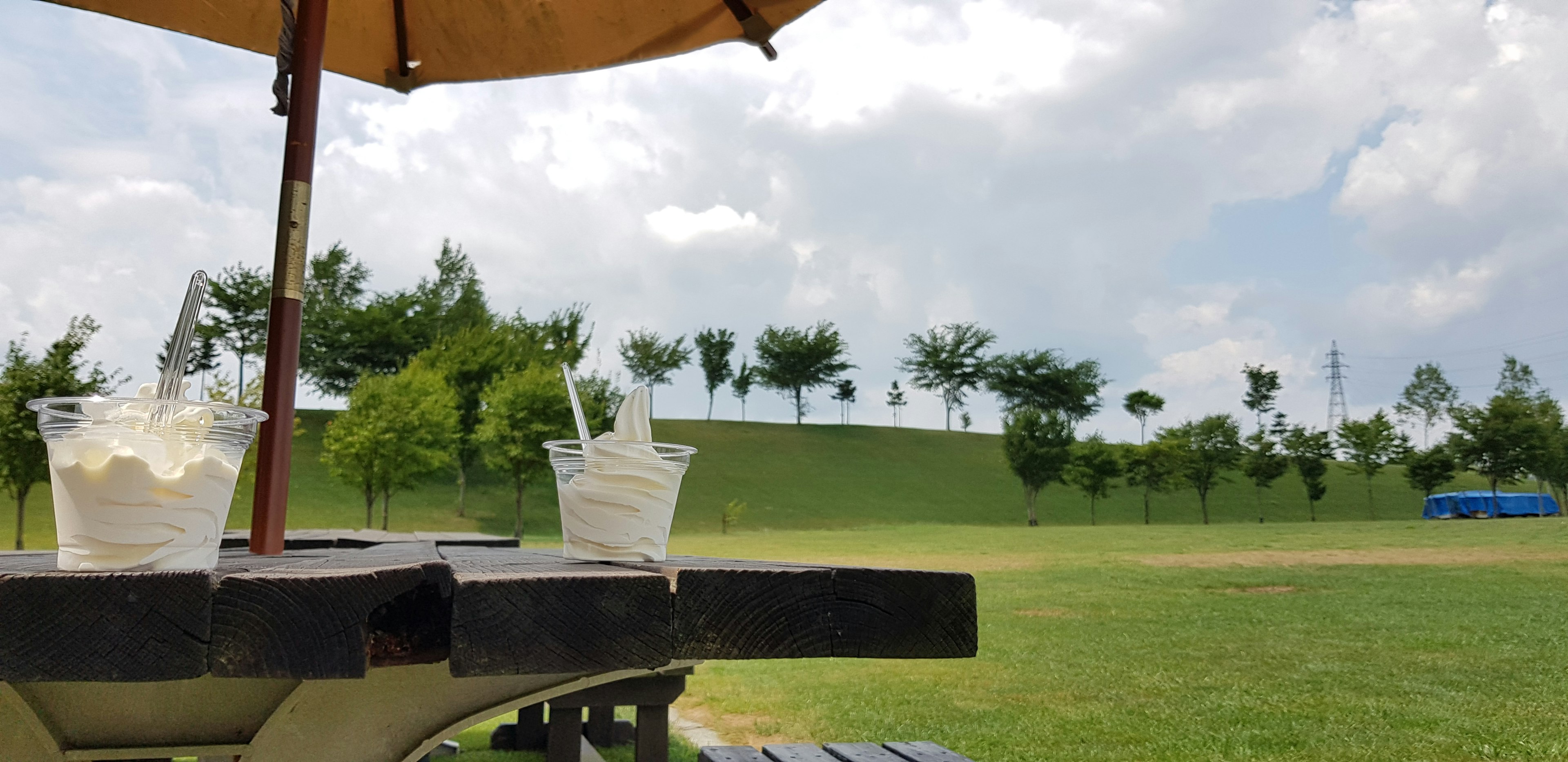 公園のテーブルに置かれた二つの飲み物と傘の風景