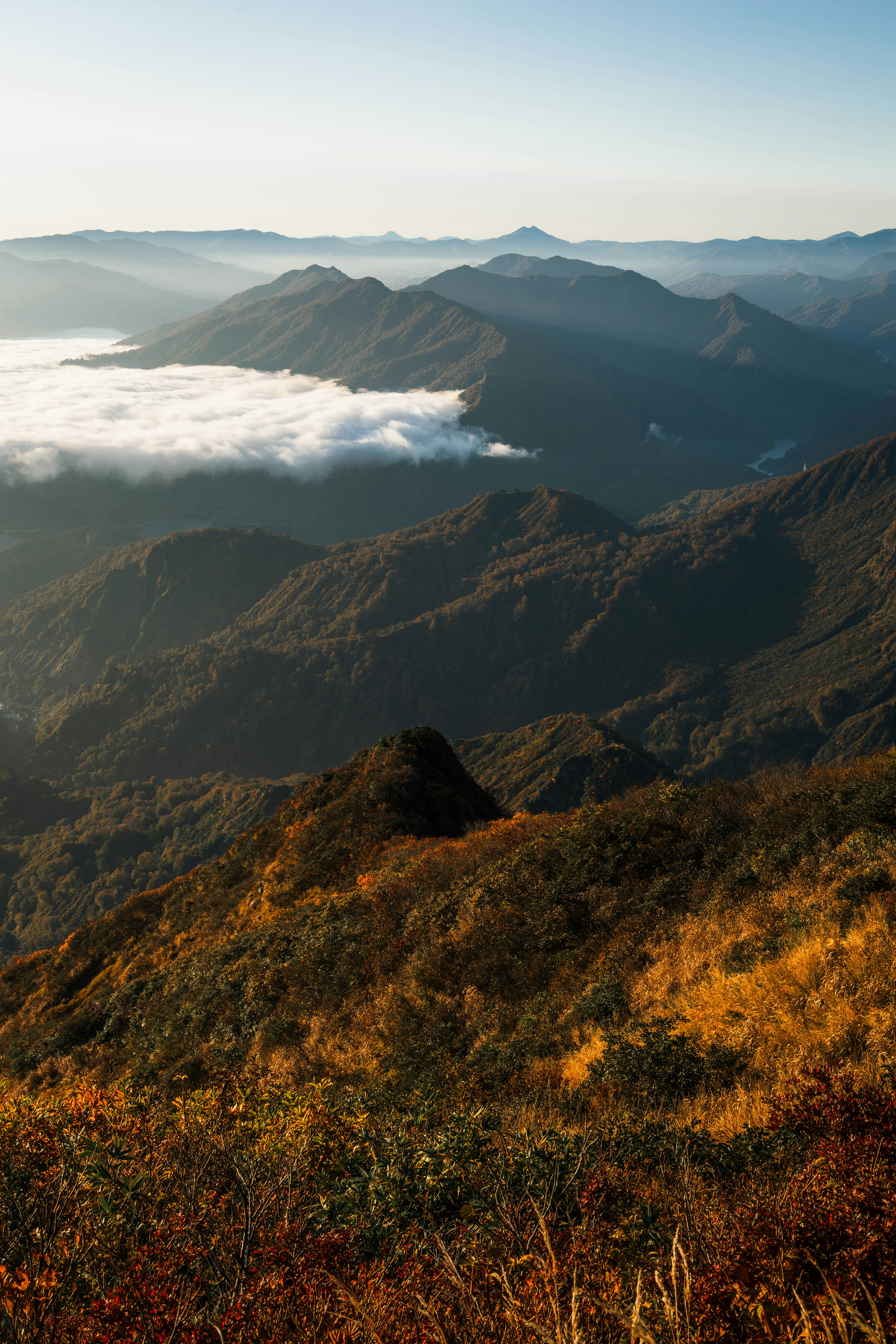 山々と霧の景色が広がる美しい風景