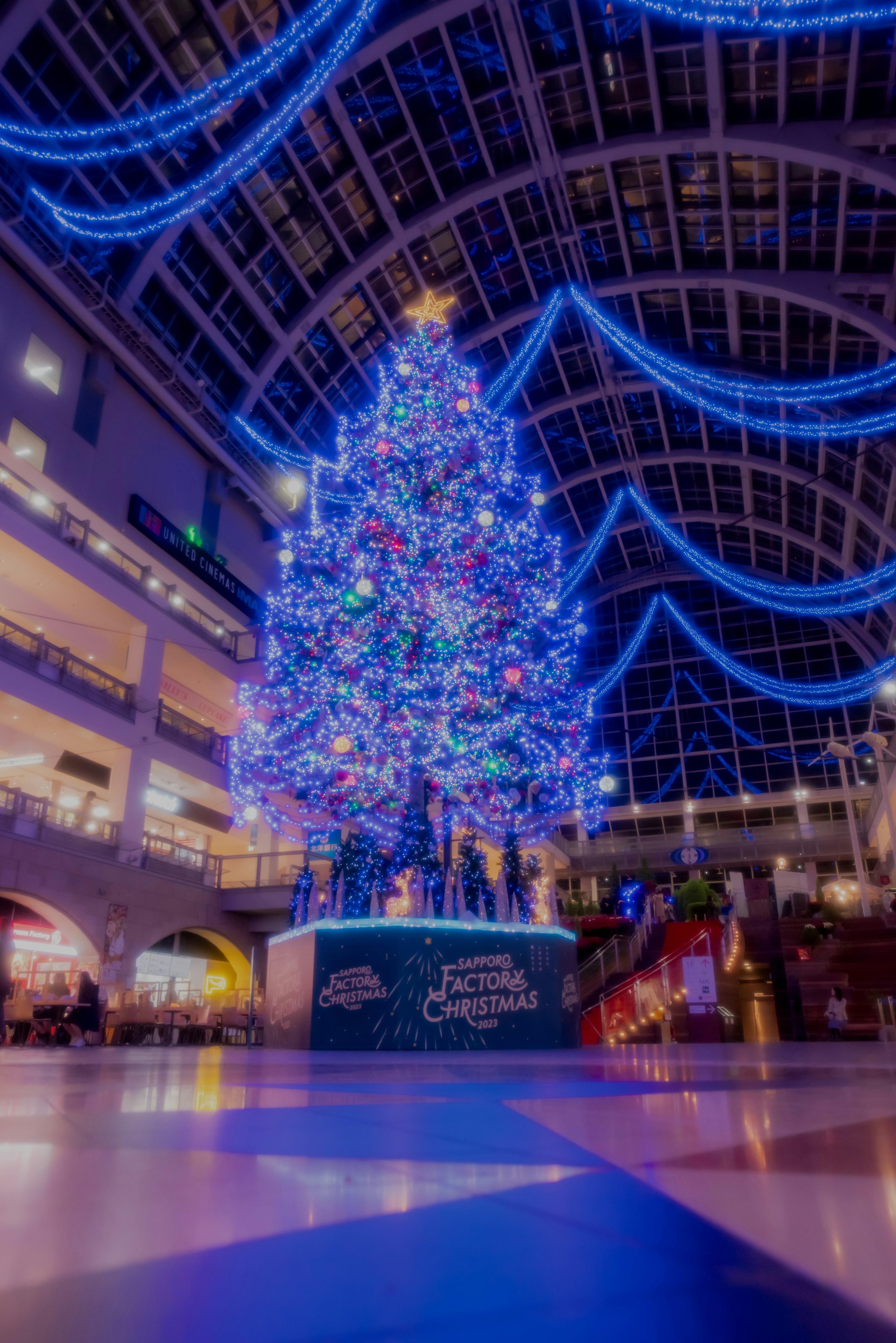 A shopping mall interior featuring a blue-lit Christmas tree