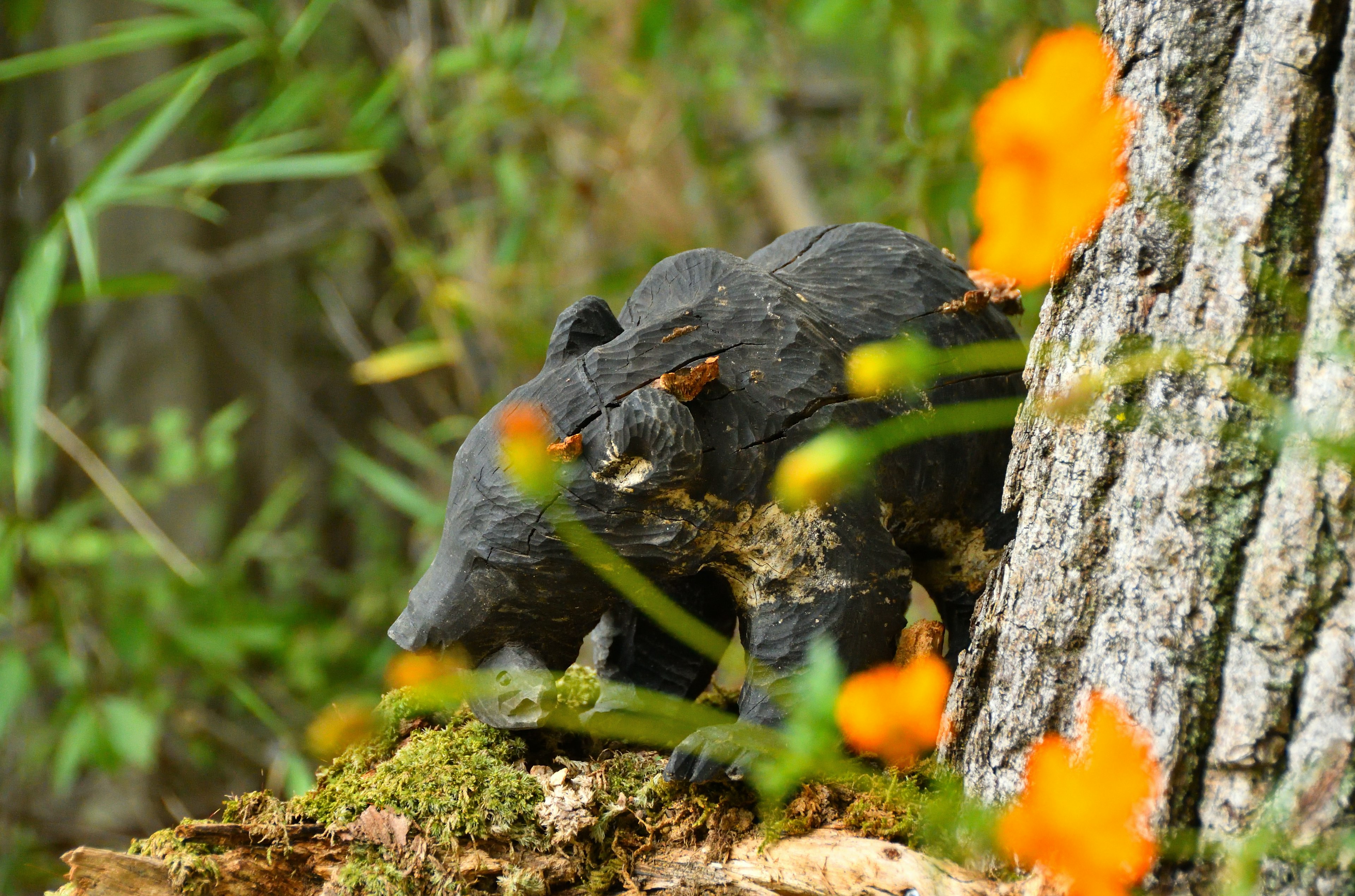 Une figurine d'ours noir près d'un tronc d'arbre entouré de fleurs orange