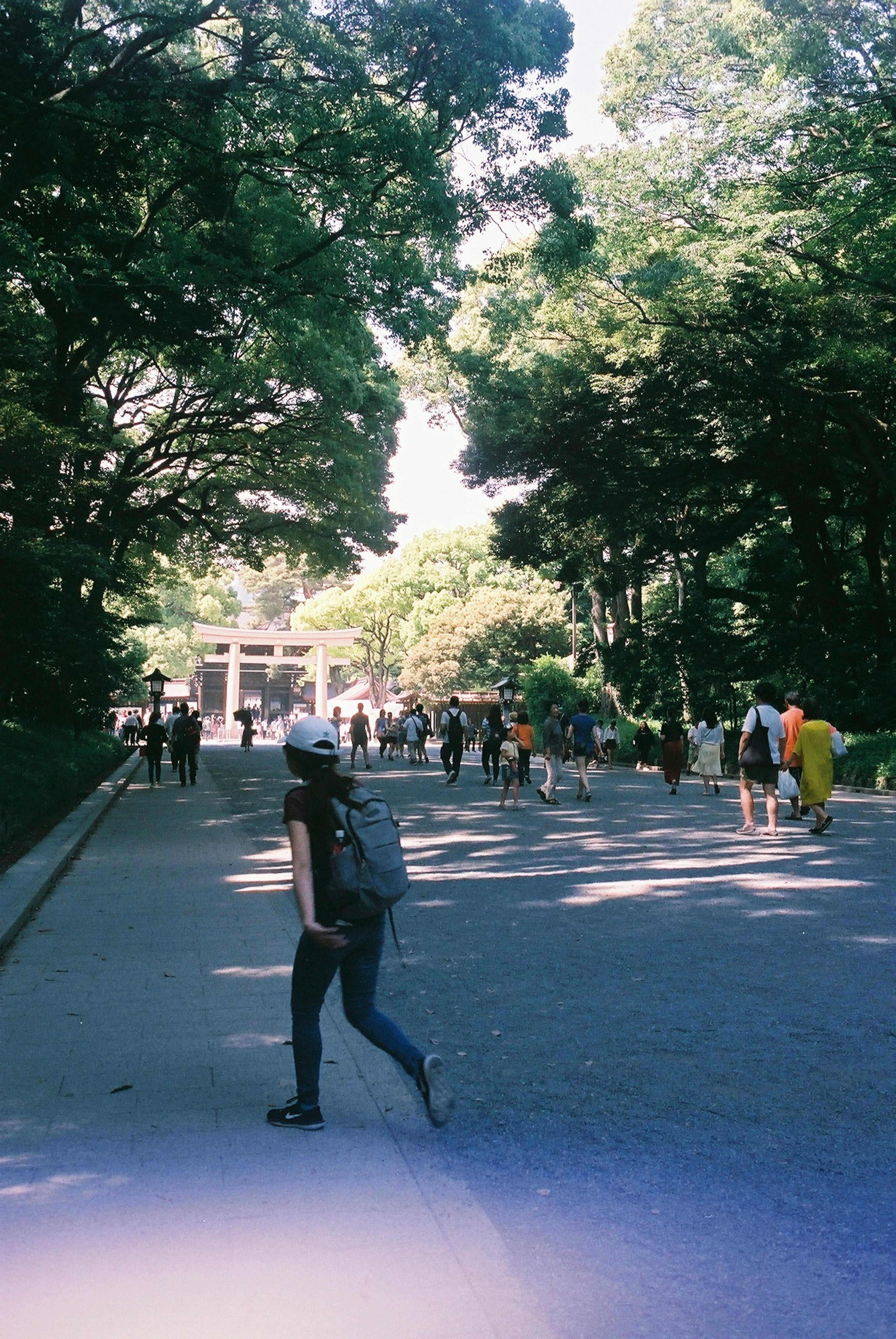 緑豊かな公園に歩く人々と木々の風景