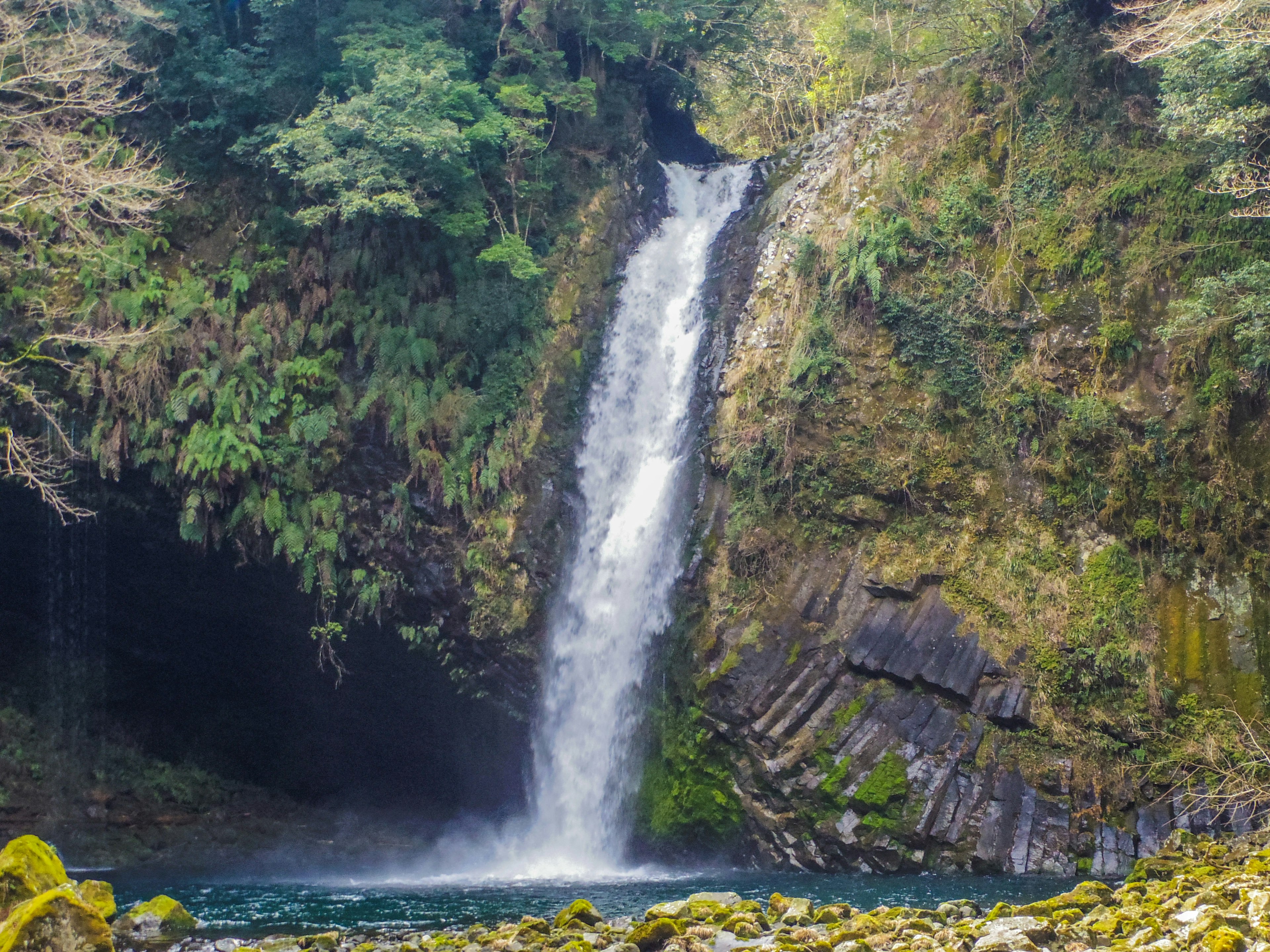 Bellissima cascata circondata da una foresta verdeggiante