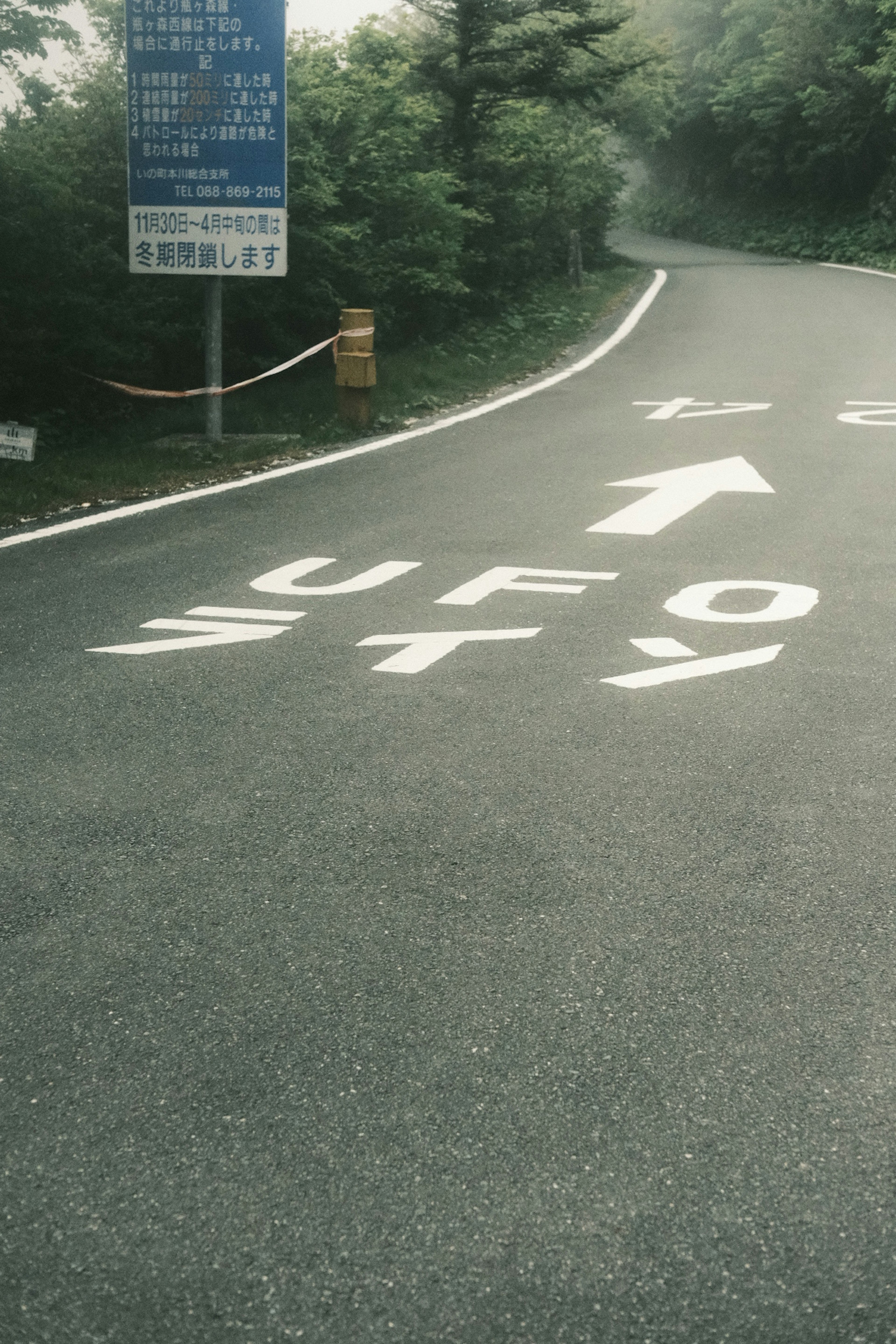 道路に描かれたUFOの標識と周囲の緑豊かな風景