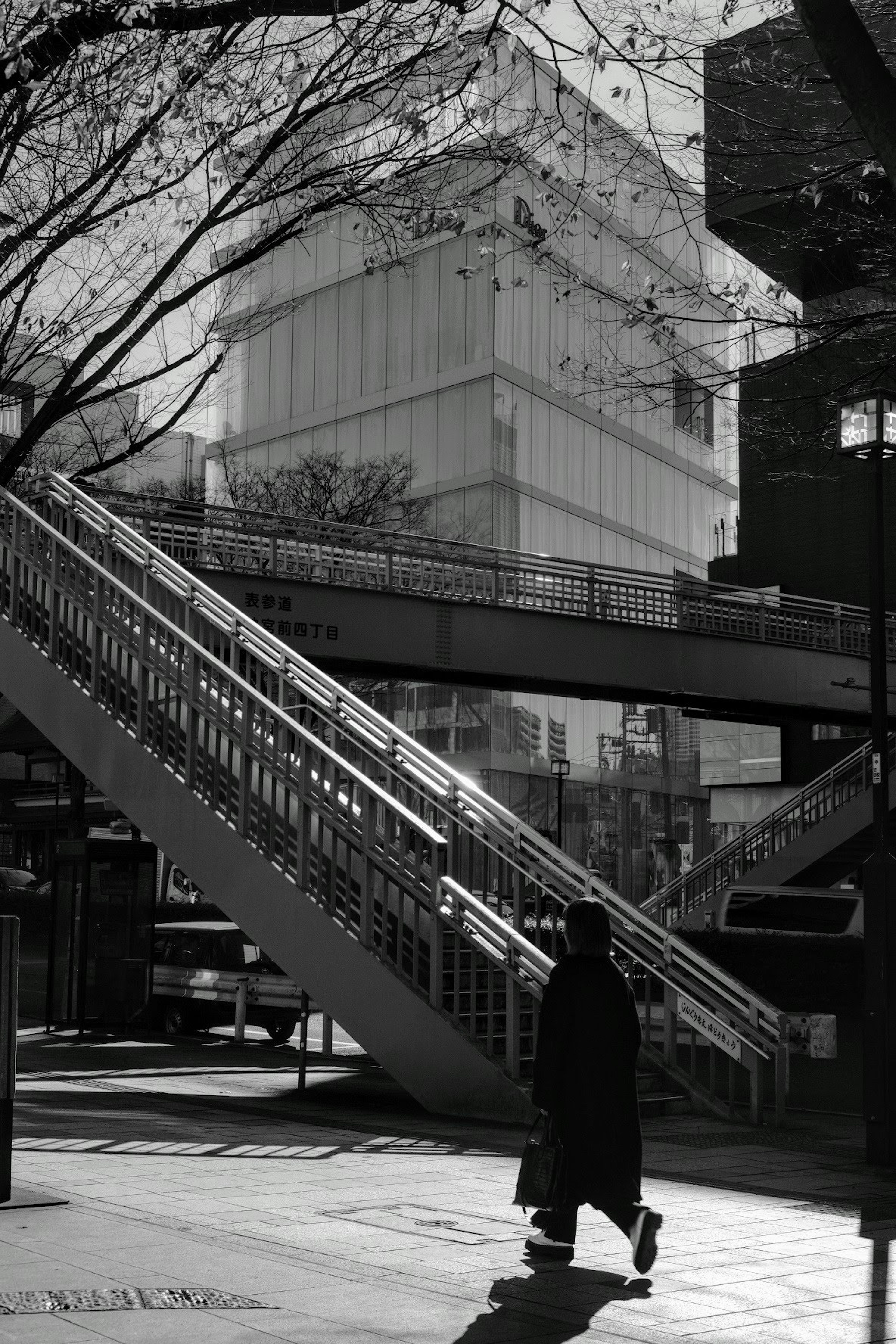 白黒の街並みで、階段を上がる人影と近代的な建物が見える