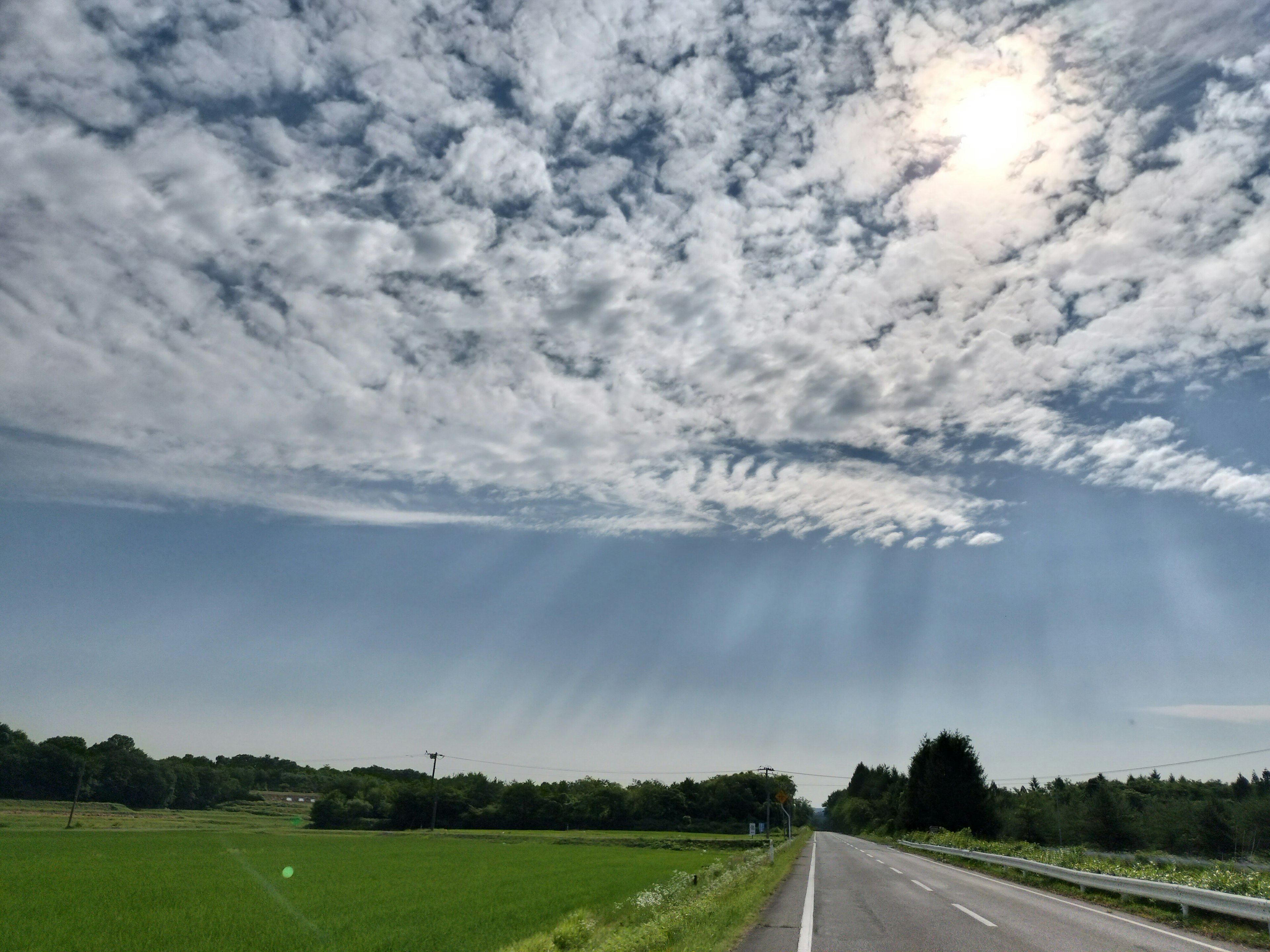 Pemandangan langit biru dengan awan putih dan pedesaan hijau