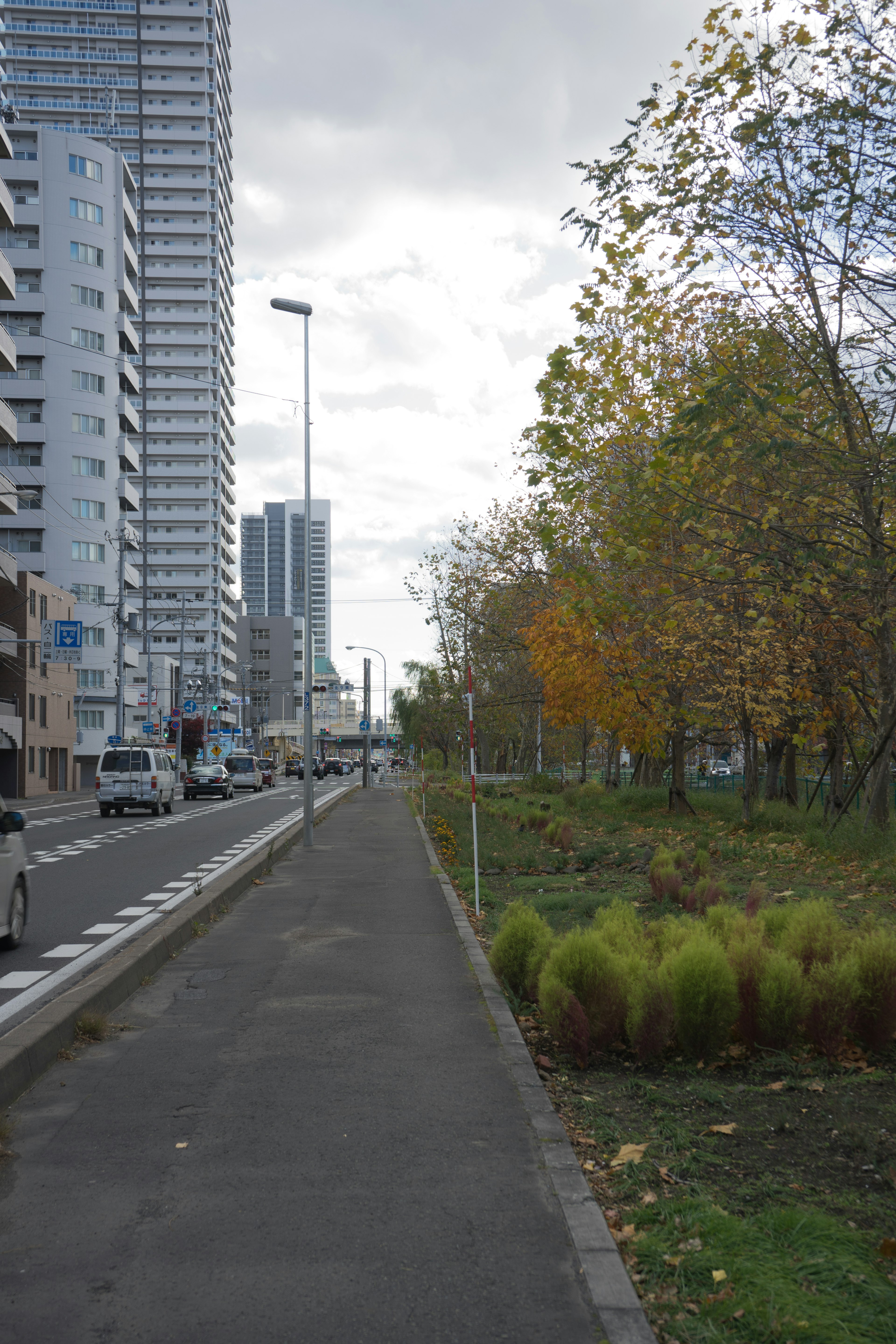 Sidewalk along the street with autumn trees and urban buildings