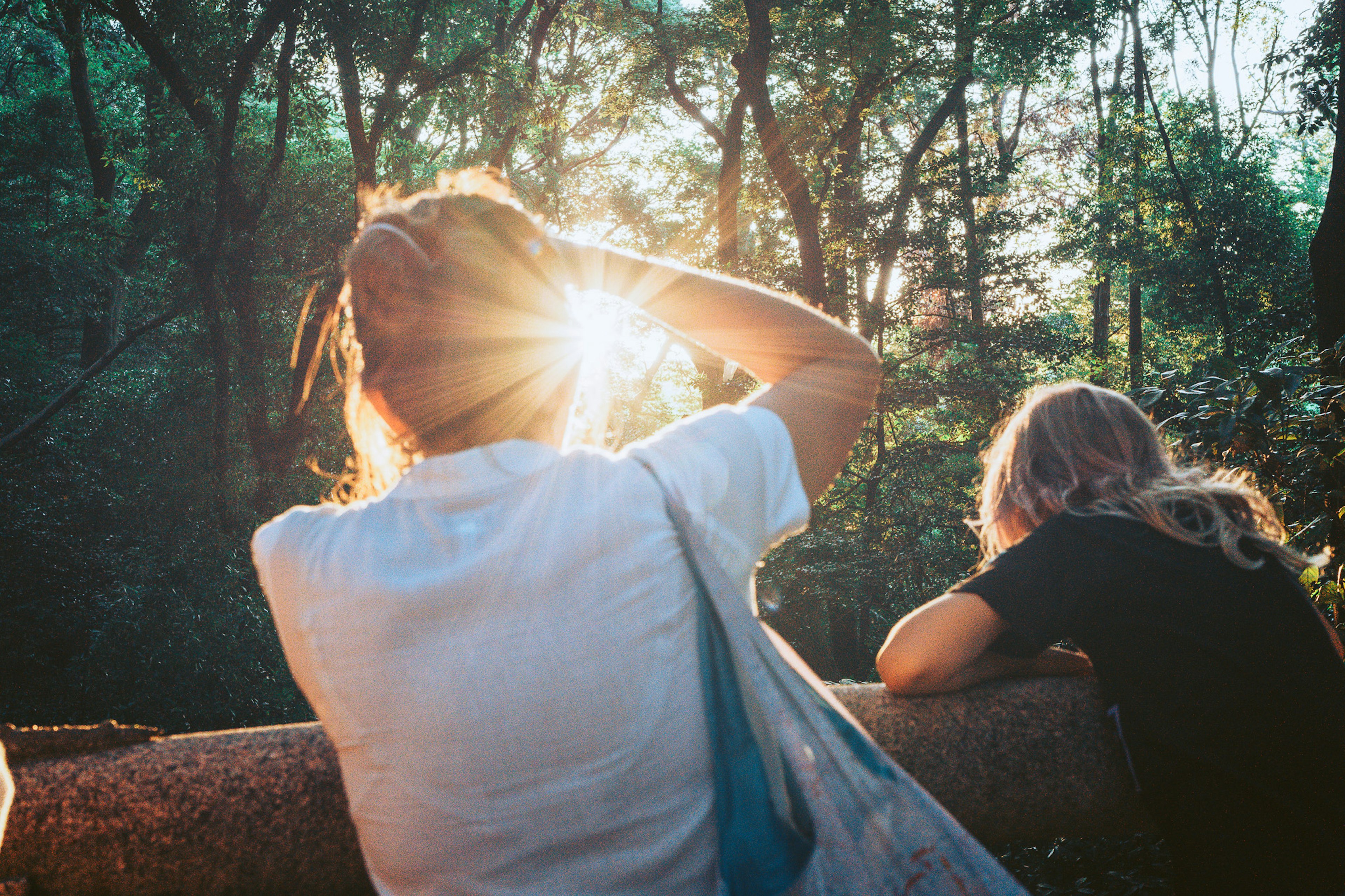 Two people looking at the sunset in a forest