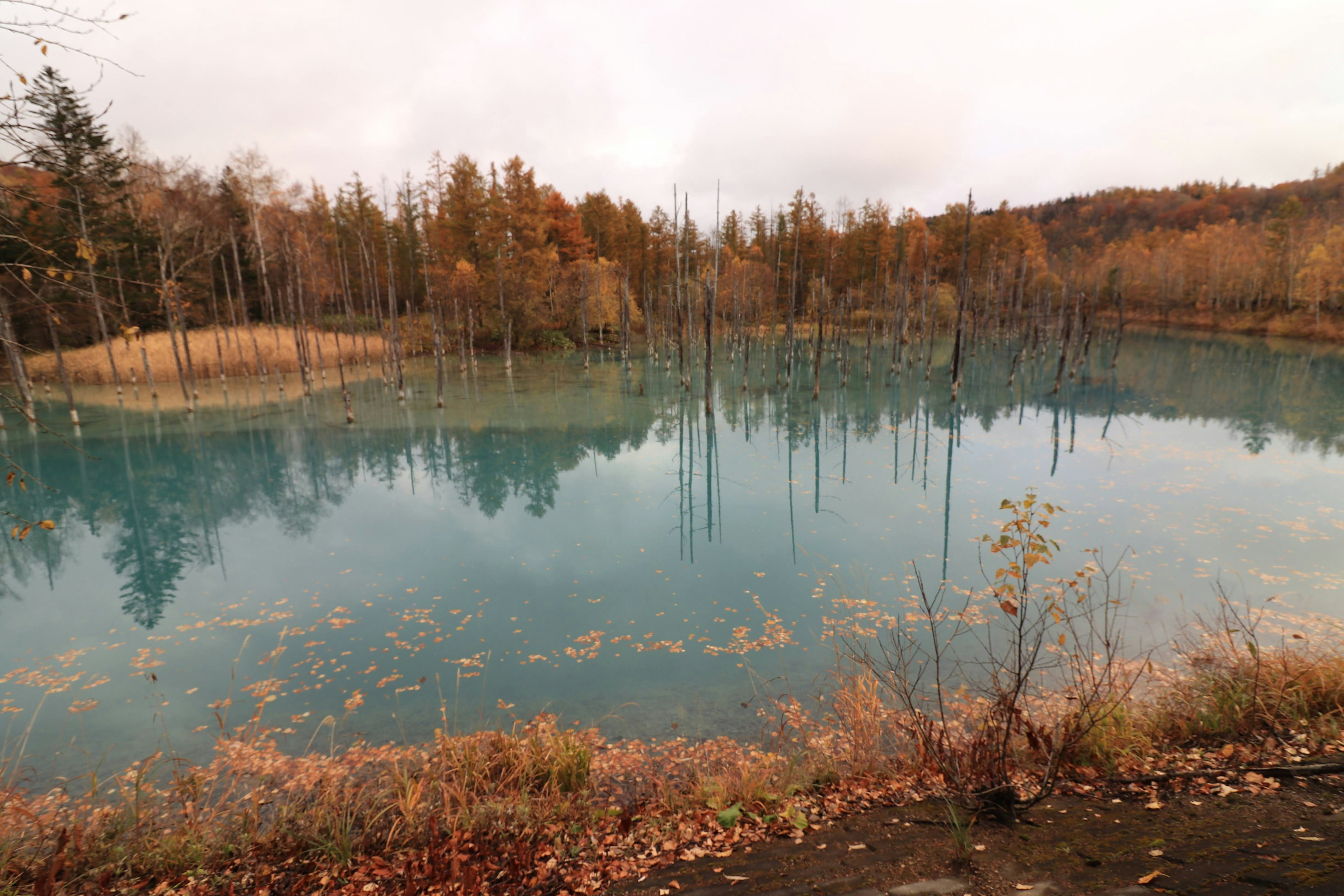 Blue lake reflecting autumn trees