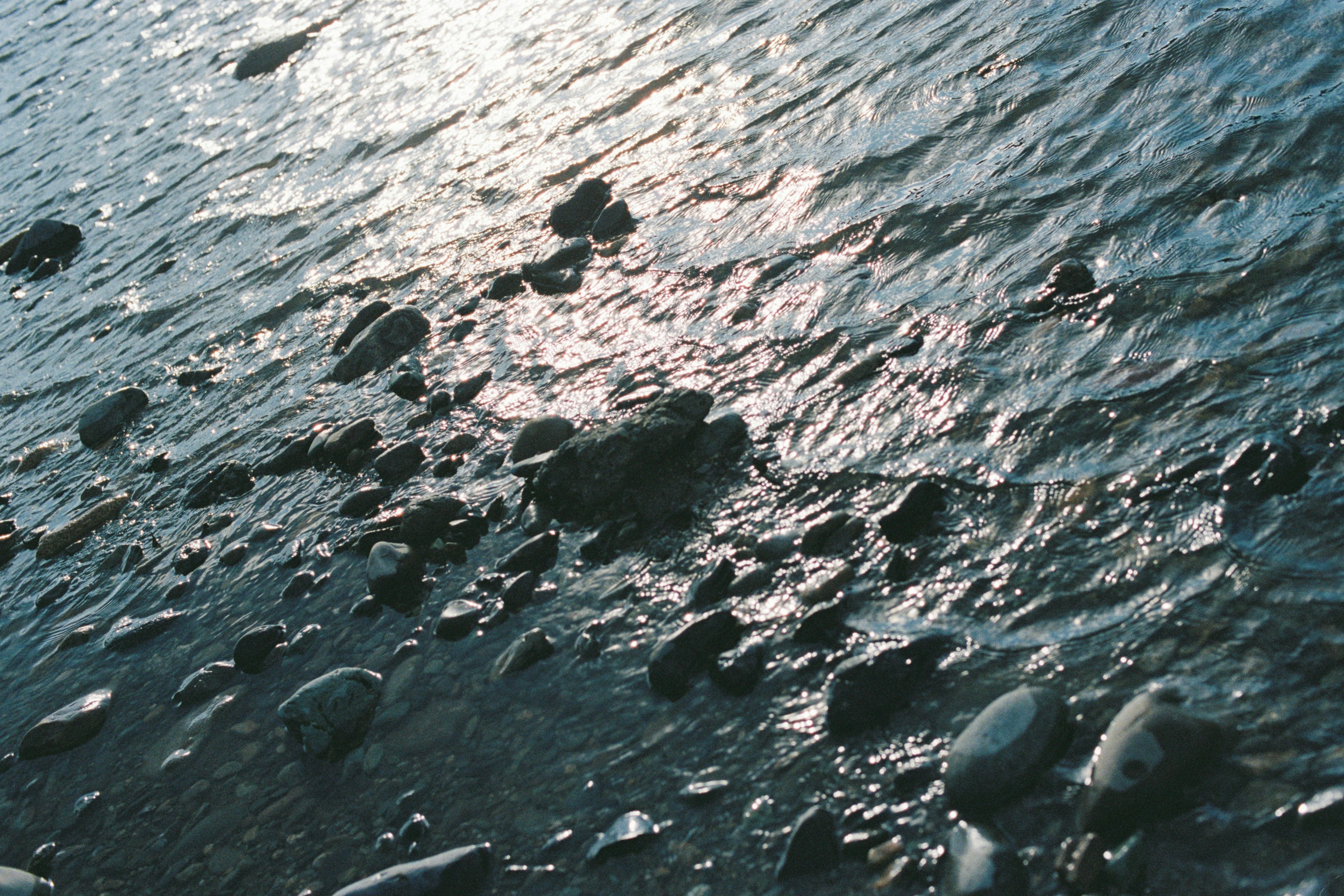 水面に映る光と石がある風景