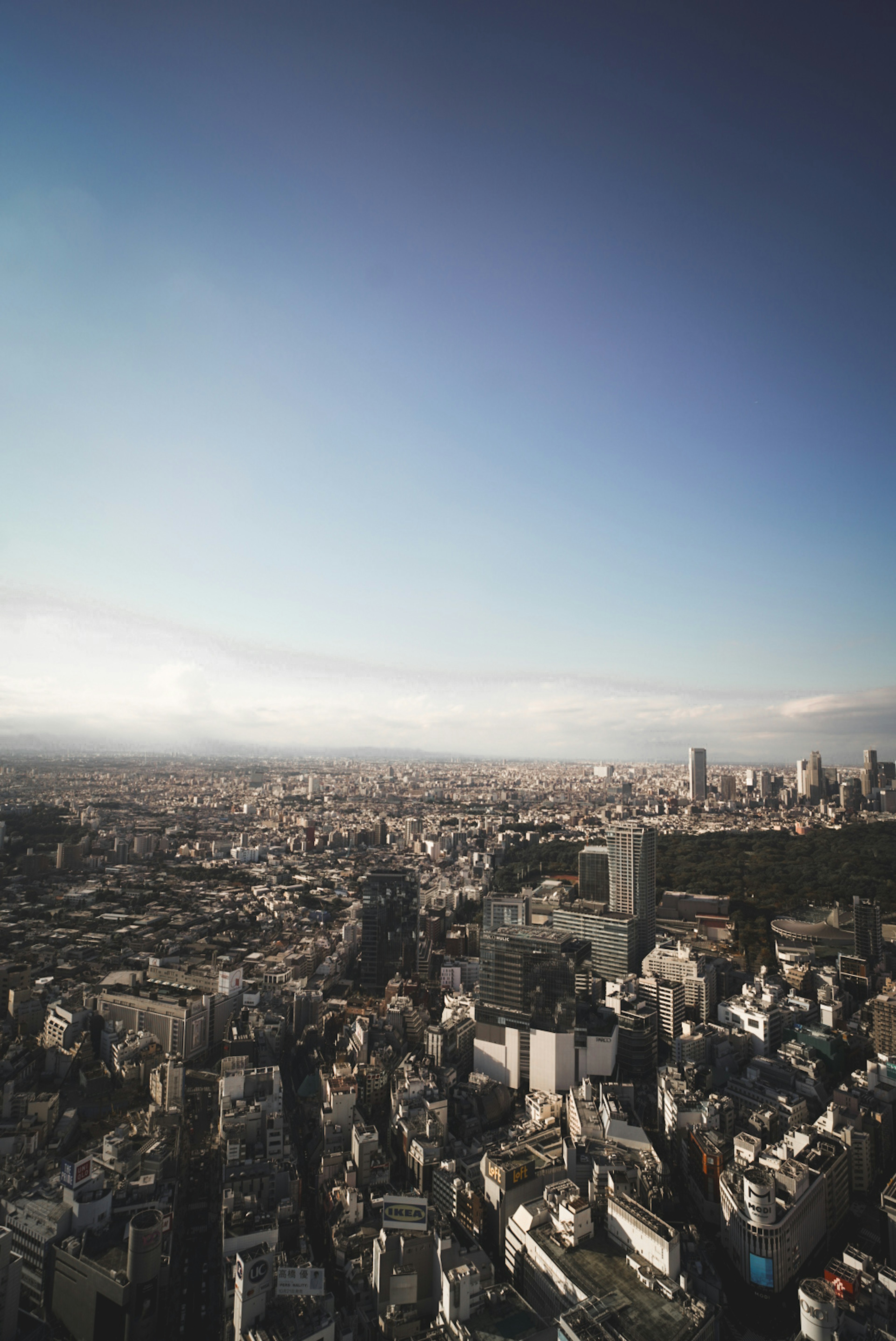 東京の広大な都市景観と青空の風景