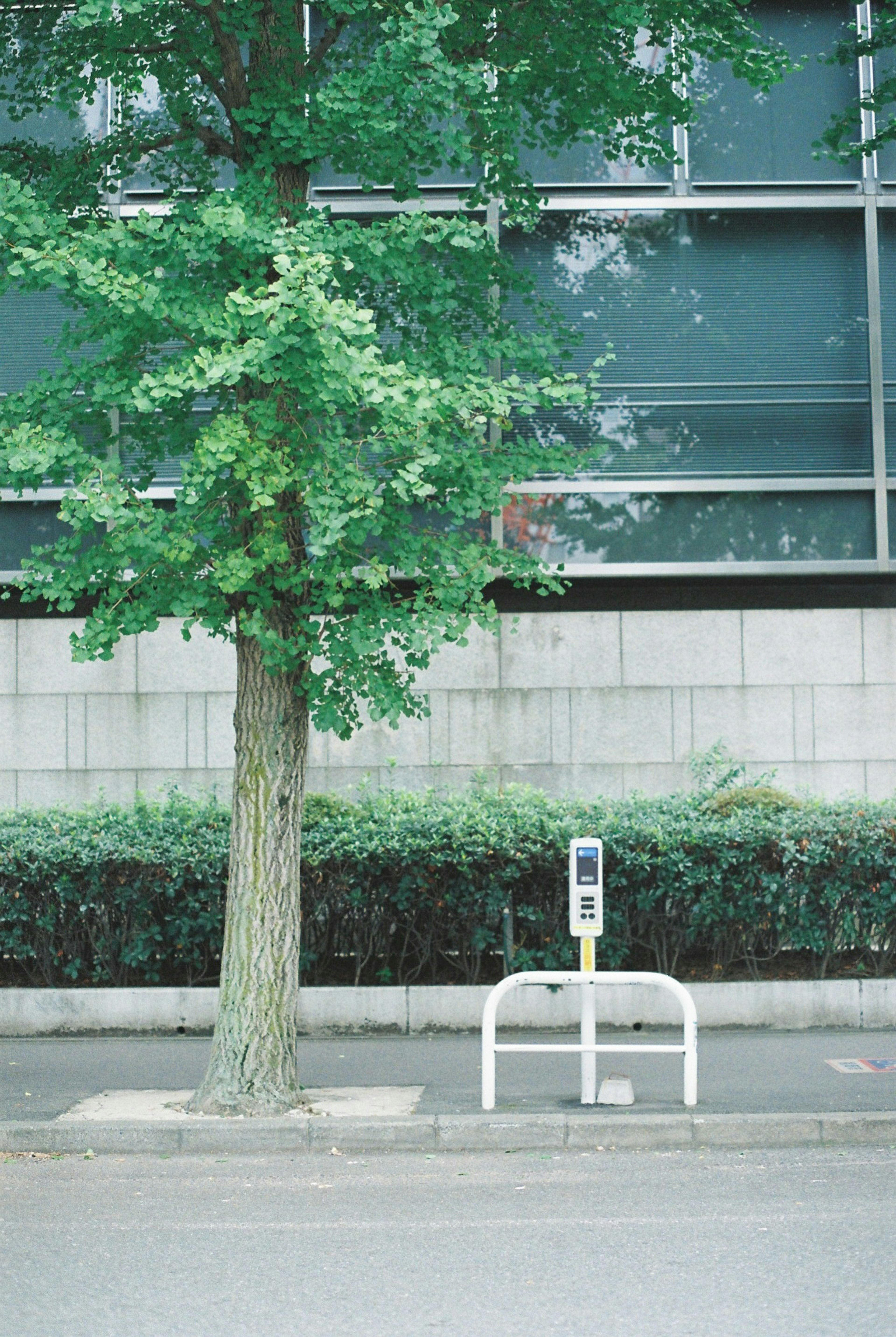 街路樹と電話ボックスのある都市の風景