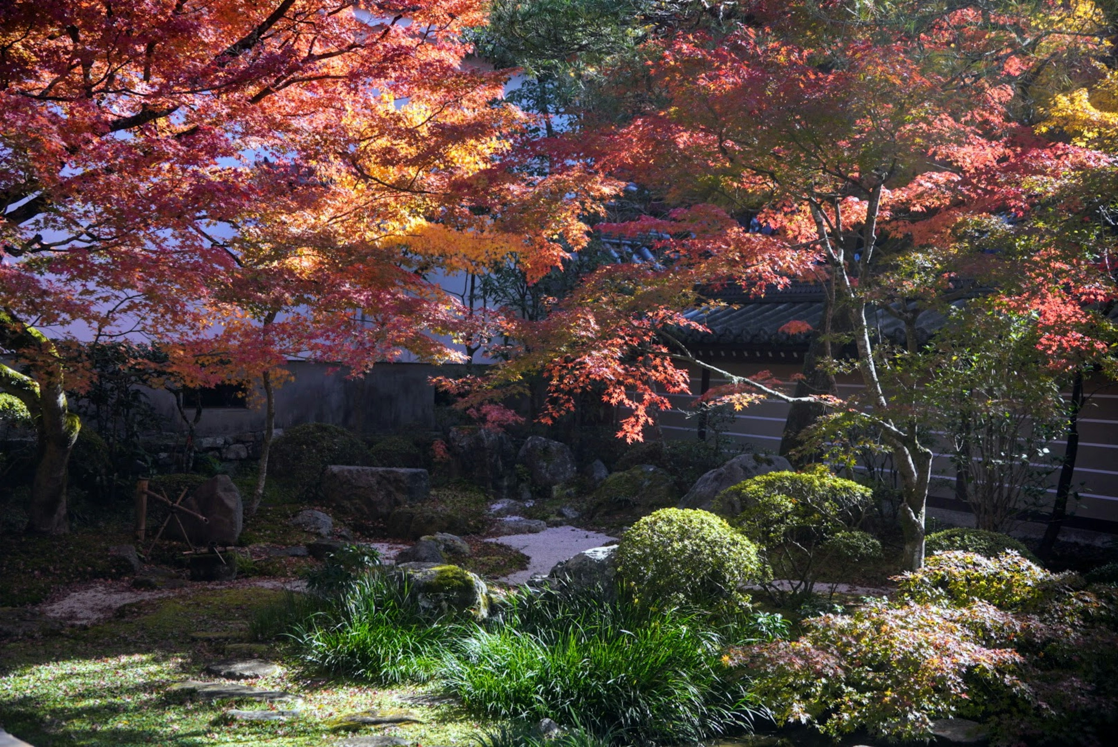 秋の紅葉が美しい日本庭園の風景