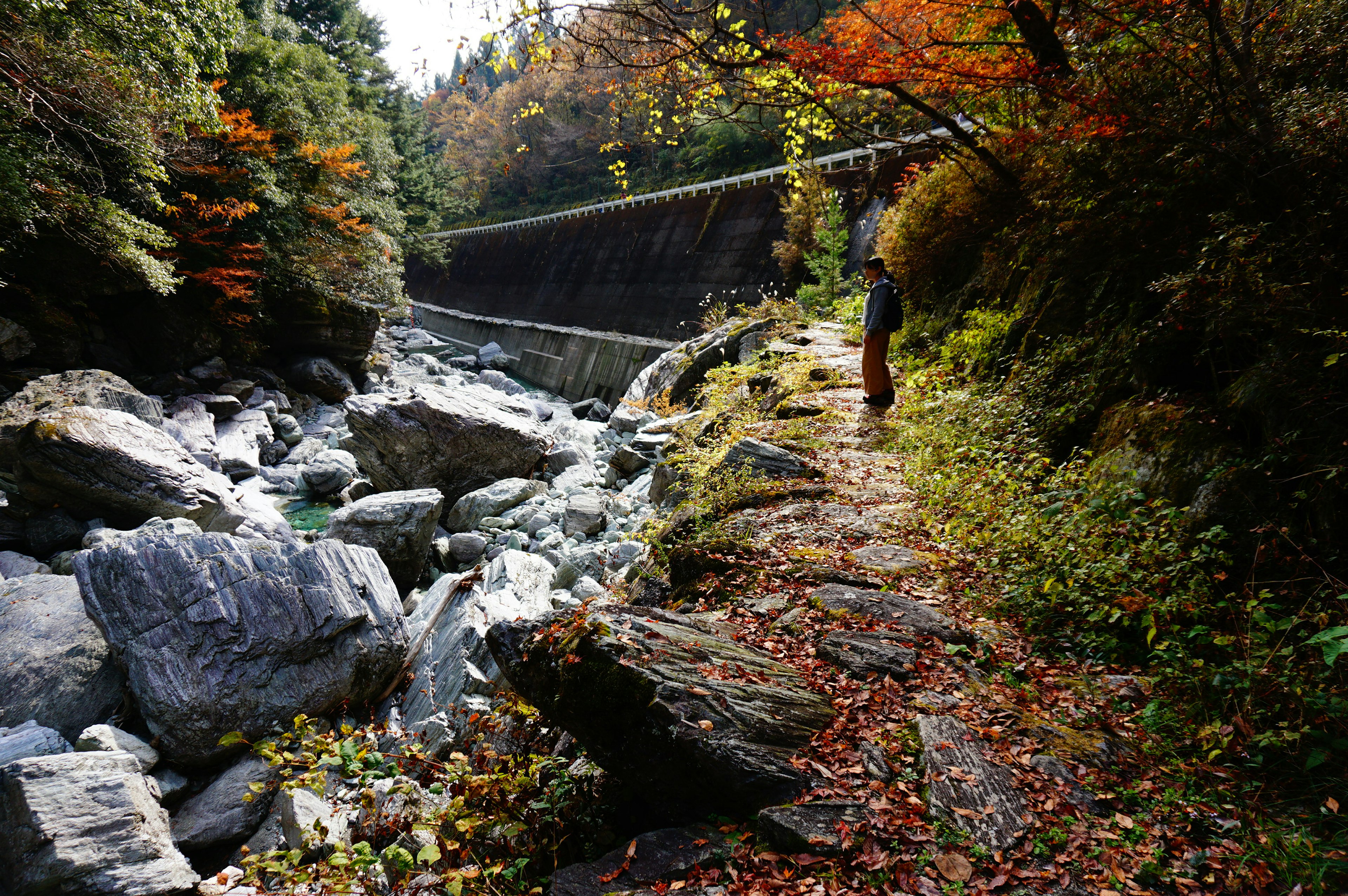 川沿いの美しい風景に立つ人物と色づいた木々