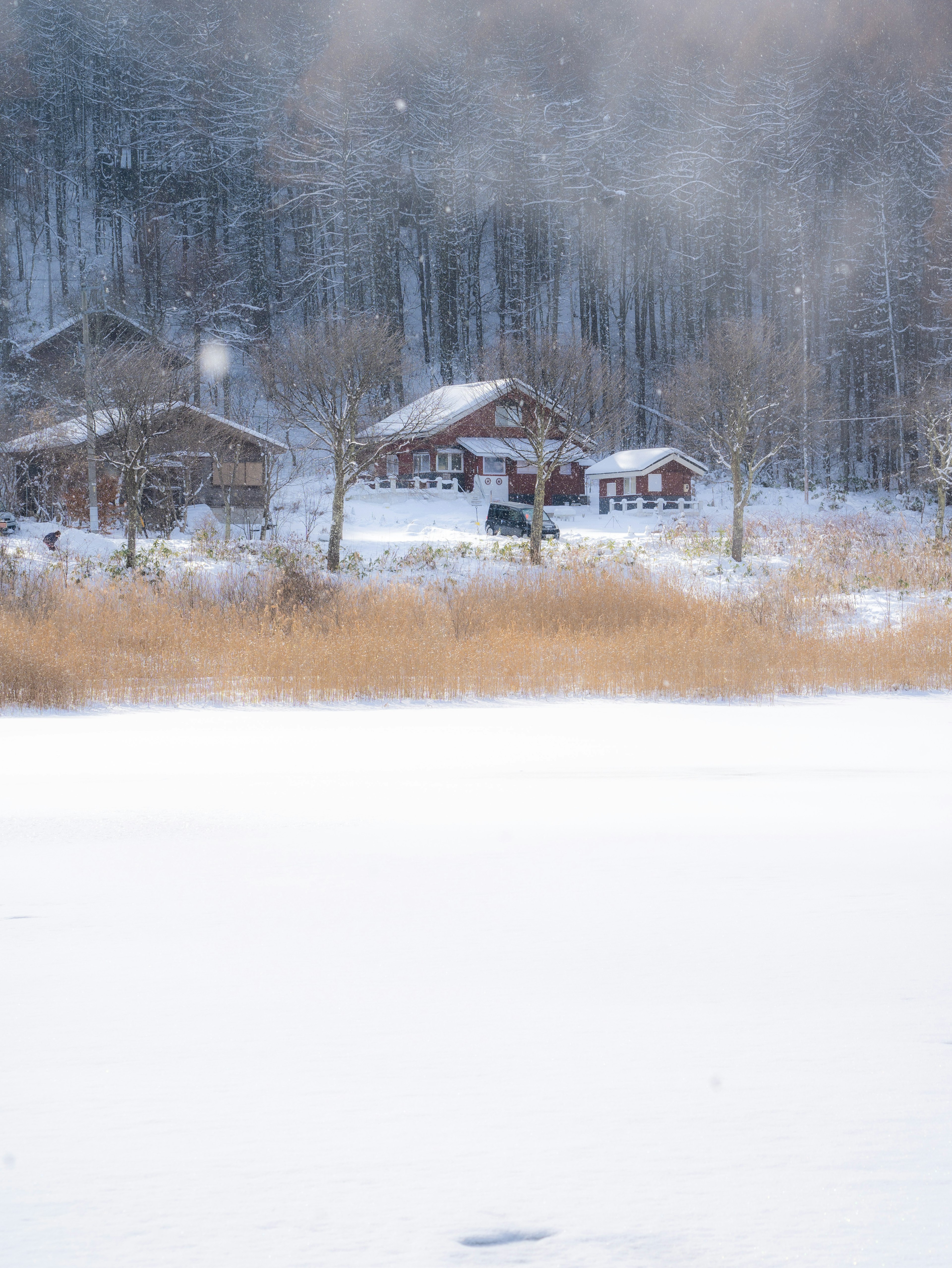 Paesaggio invernale pittoresco con case coperte di neve e lago ghiacciato