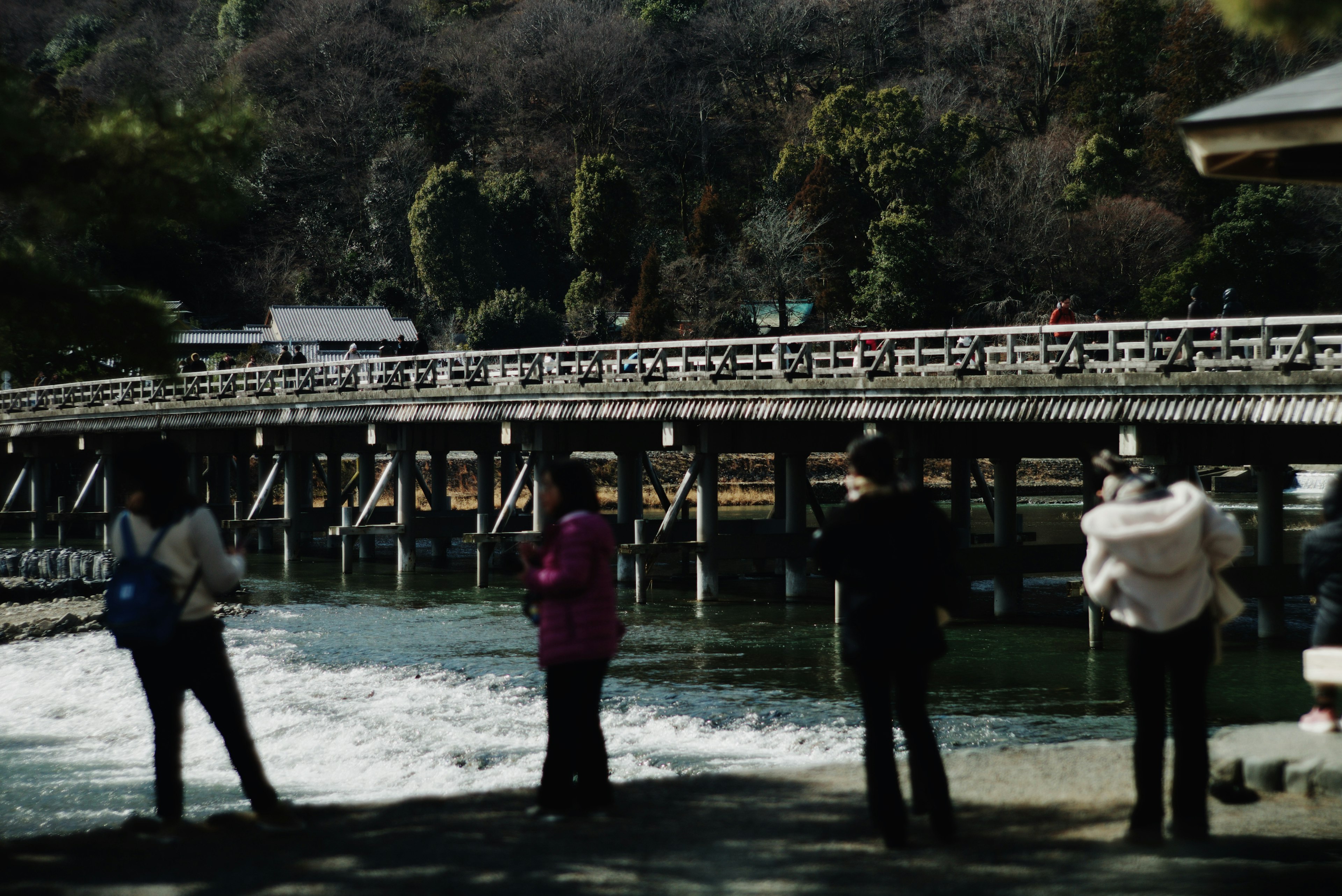 People standing near a bridge with a scenic backdrop