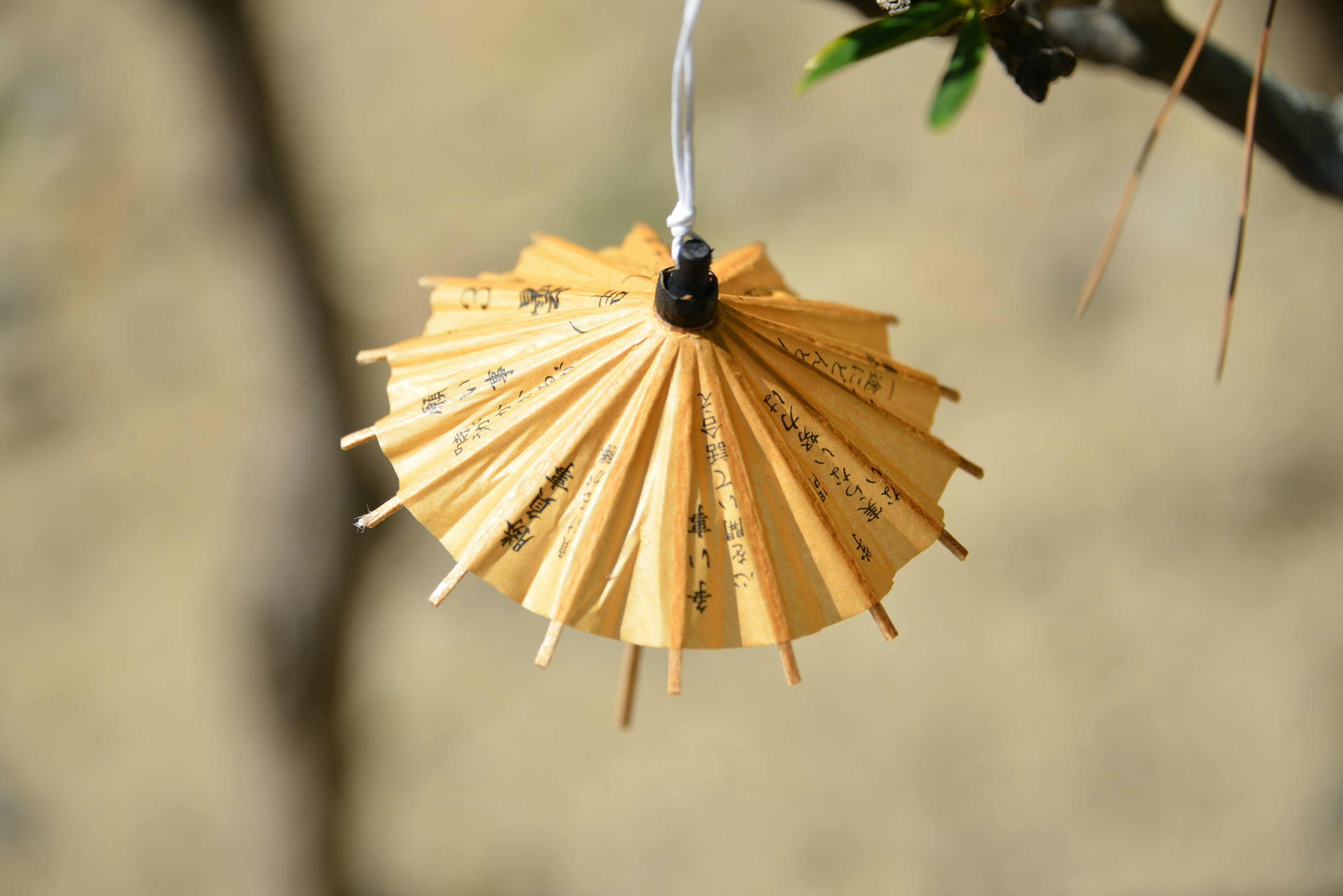 Un petit parapluie traditionnel suspendu à un arbre