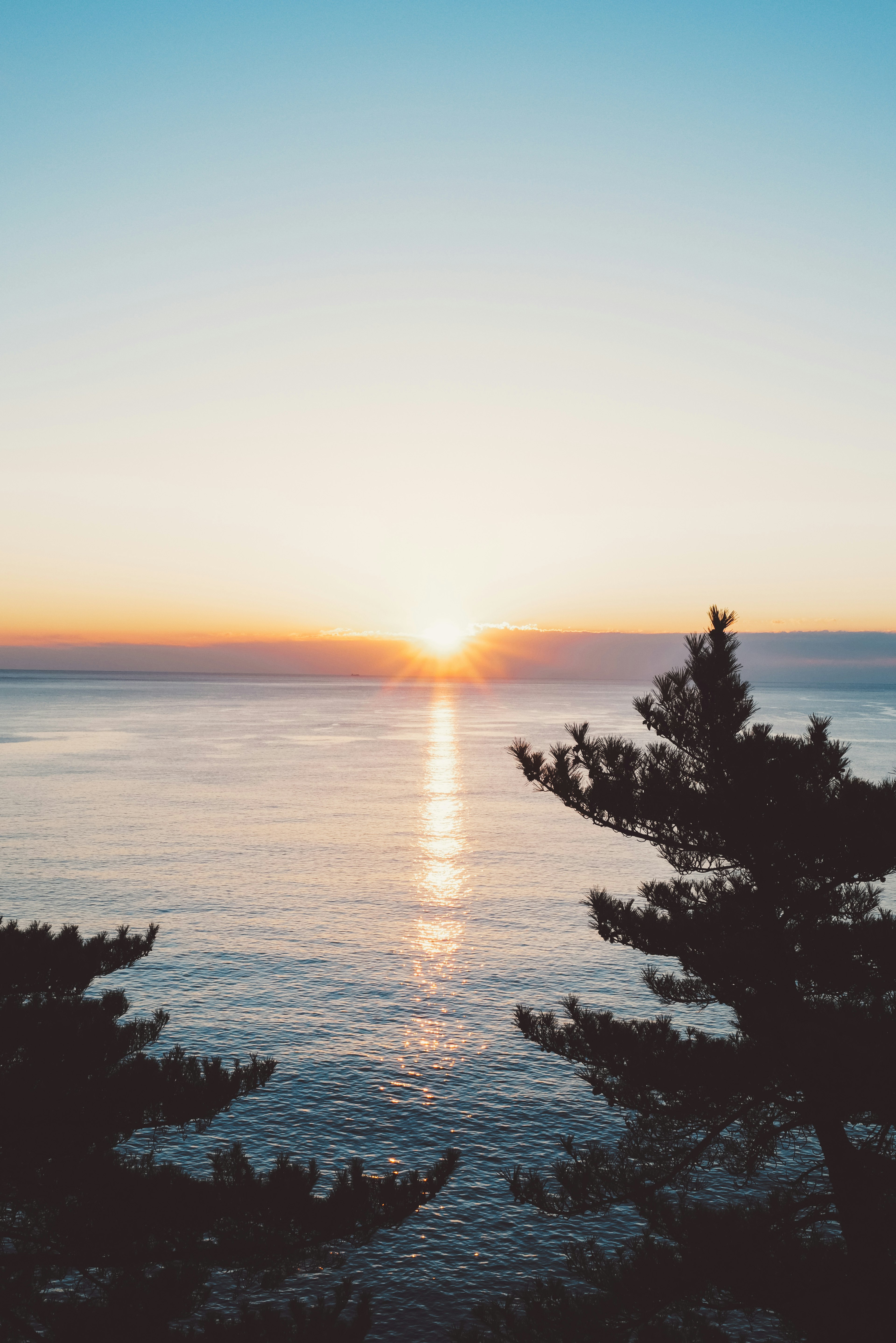 Beautiful sunset over the ocean with silhouetted trees