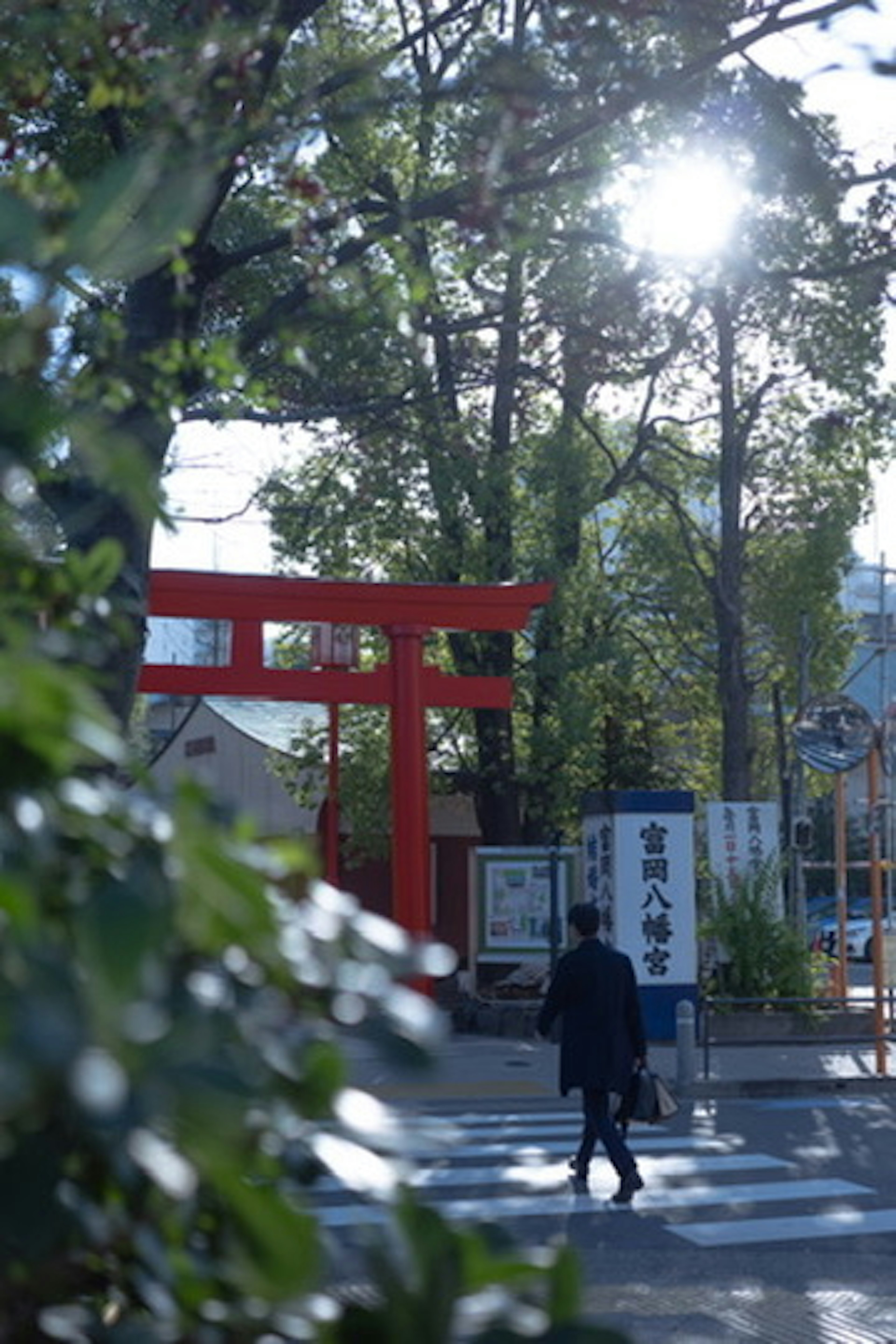 Eine Person, die zwischen einem roten Torii und Bäumen geht Sonnenlicht, das hindurchfiltert