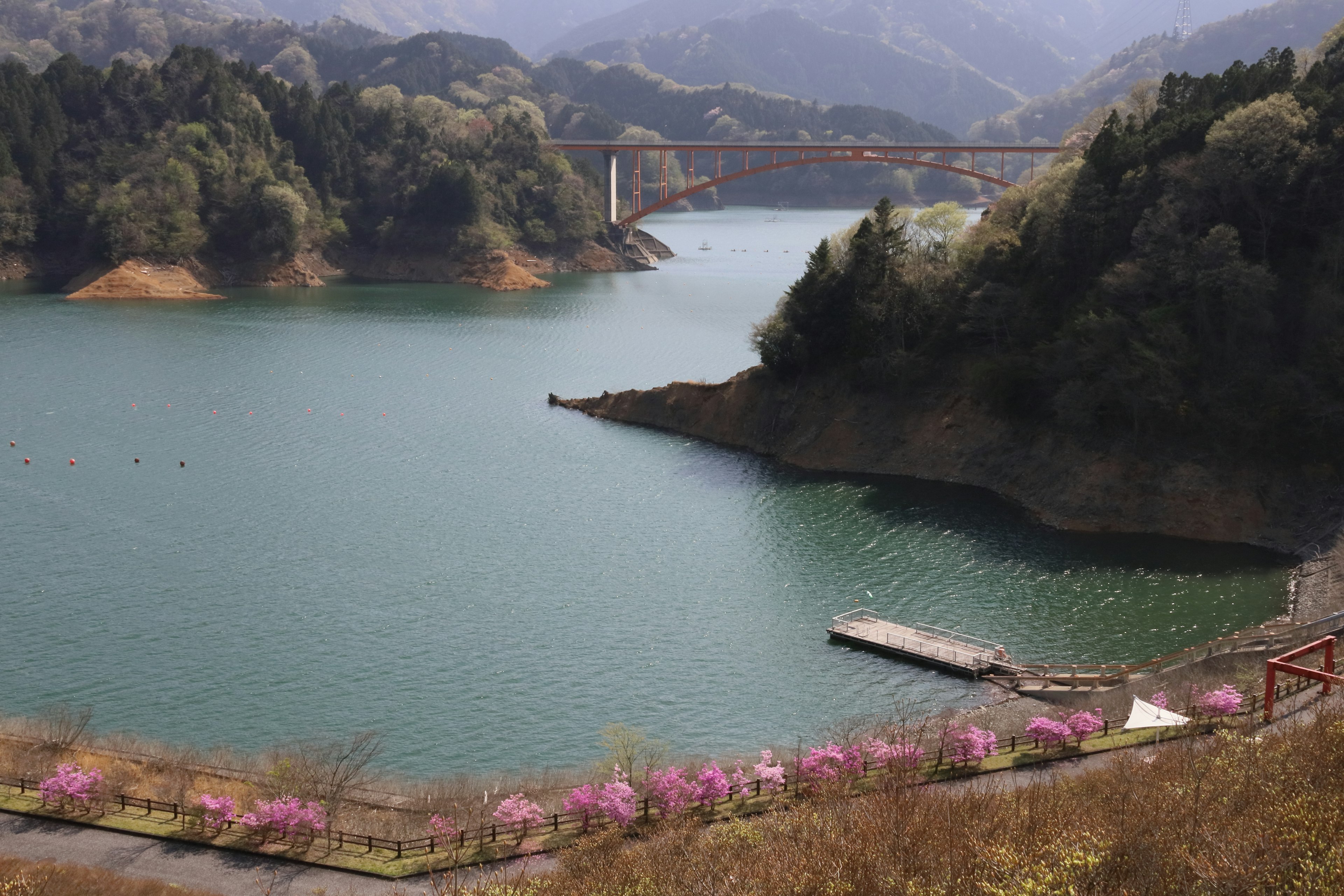 Malersiche Aussicht auf einen See umgeben von Bergen mit einer Brücke und blühenden Blumen