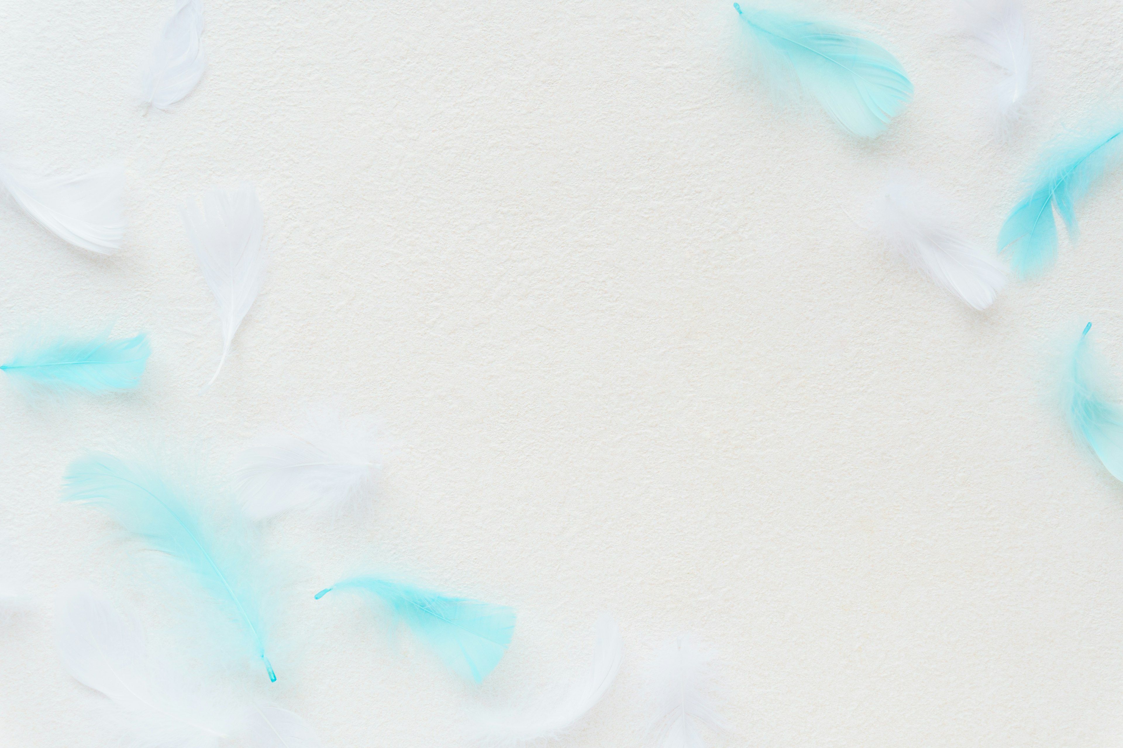 Light blue and white feathers scattered on a background