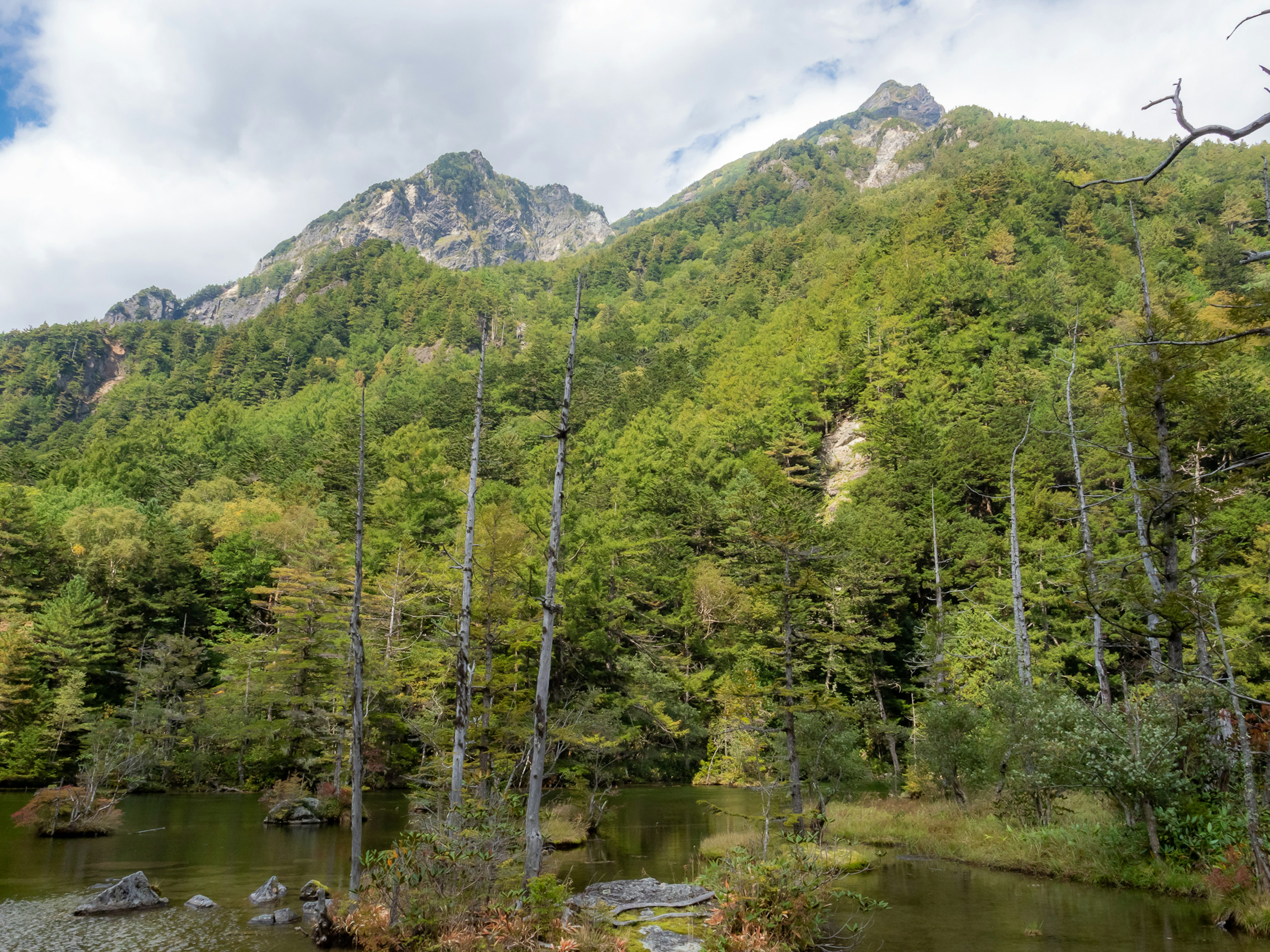 Vue panoramique de montagnes verdoyantes et d'un lac tranquille