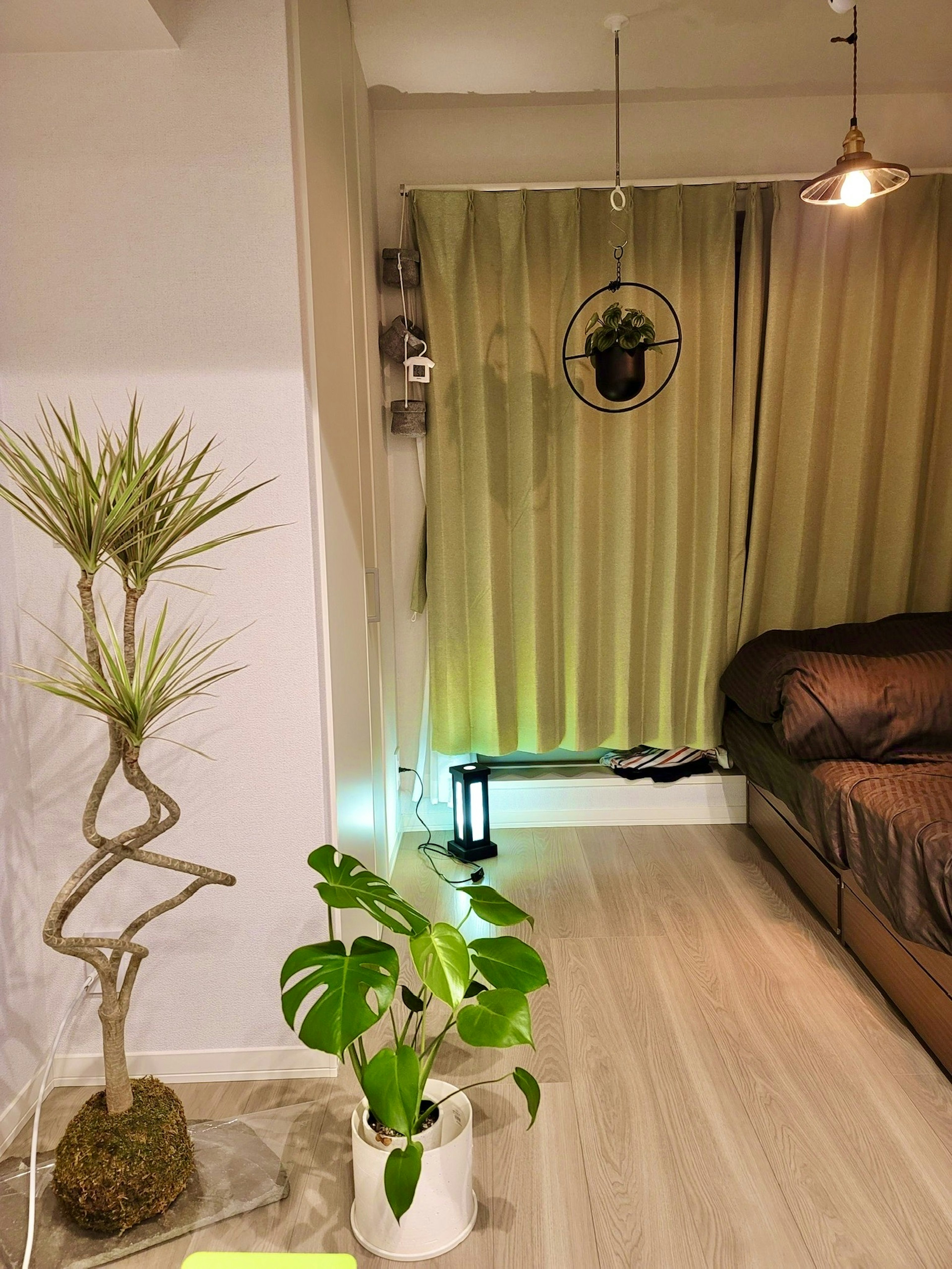 Living room with green curtains and a sofa featuring houseplants