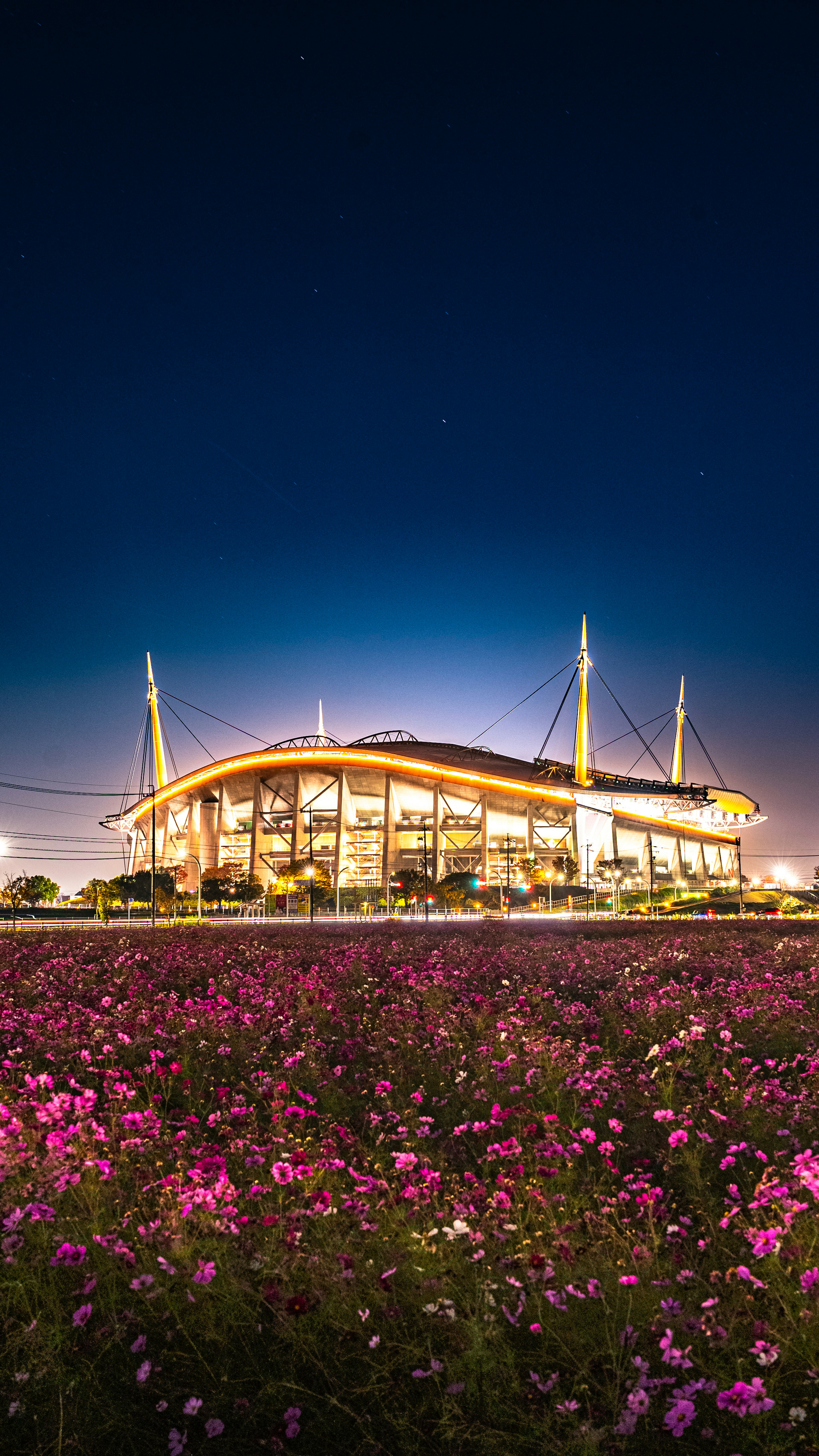 夜空の下で輝くスタジアムと色鮮やかな花畑