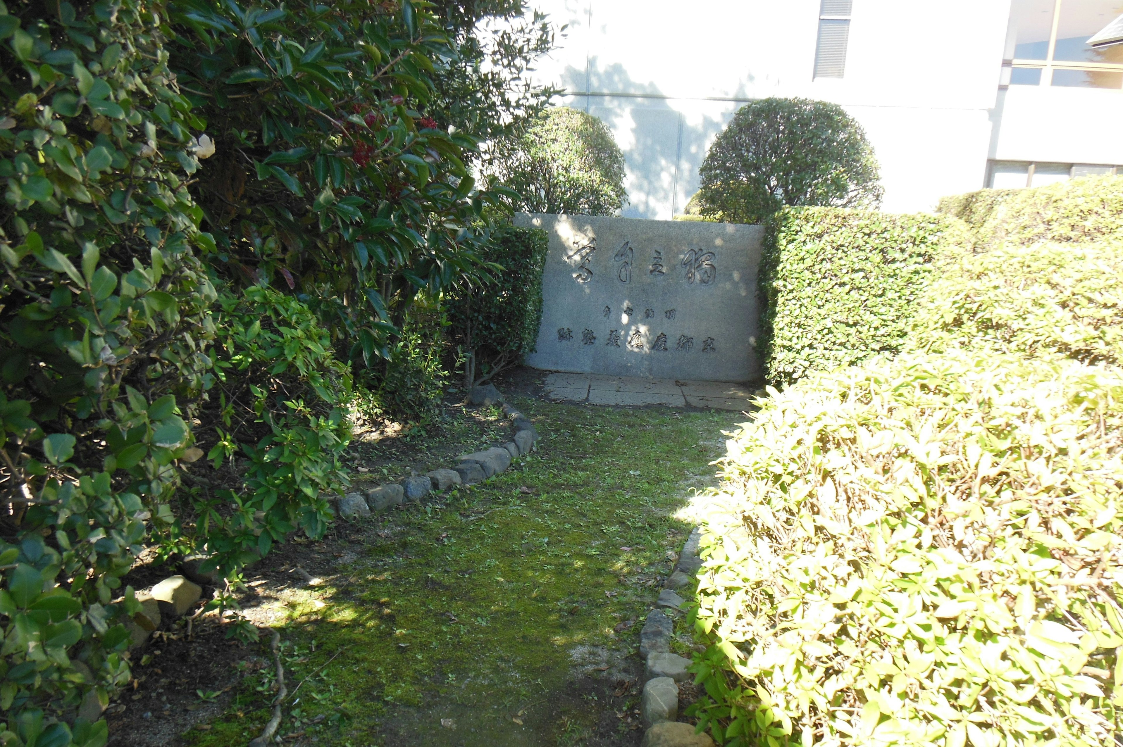 A serene garden path surrounded by greenery and a stone wall