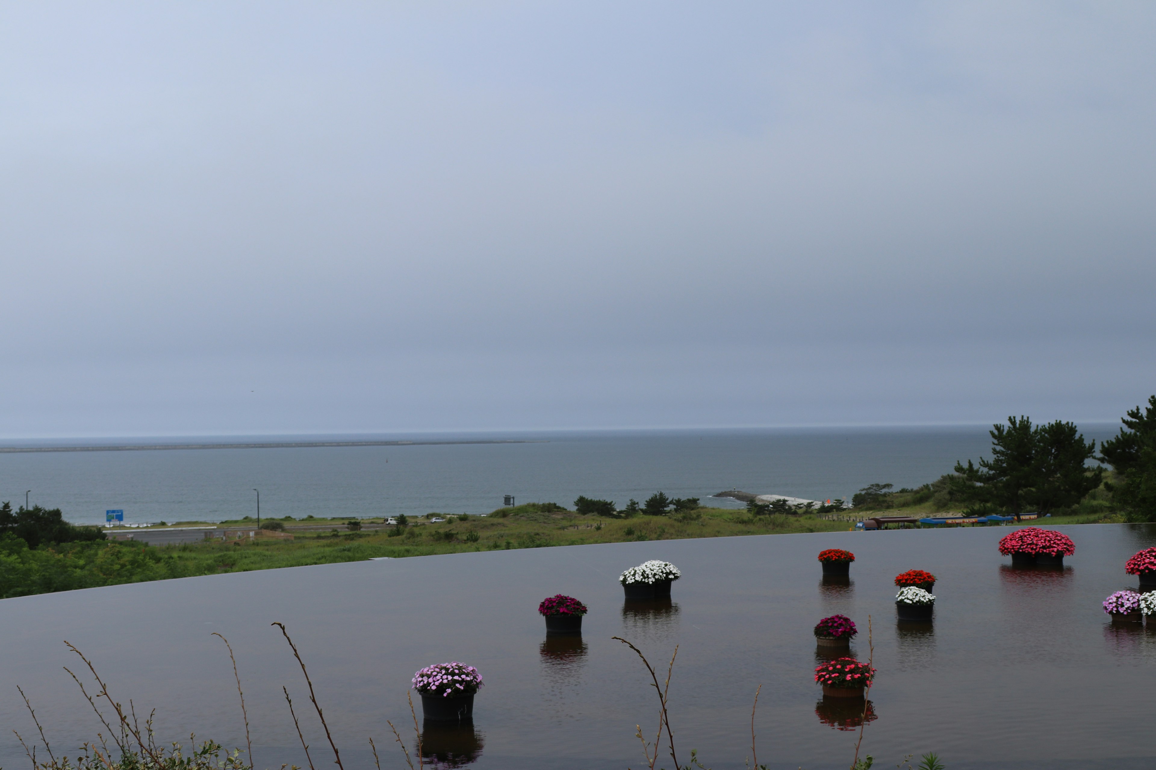 Paysage avec des pots de fleurs sur fond de mer