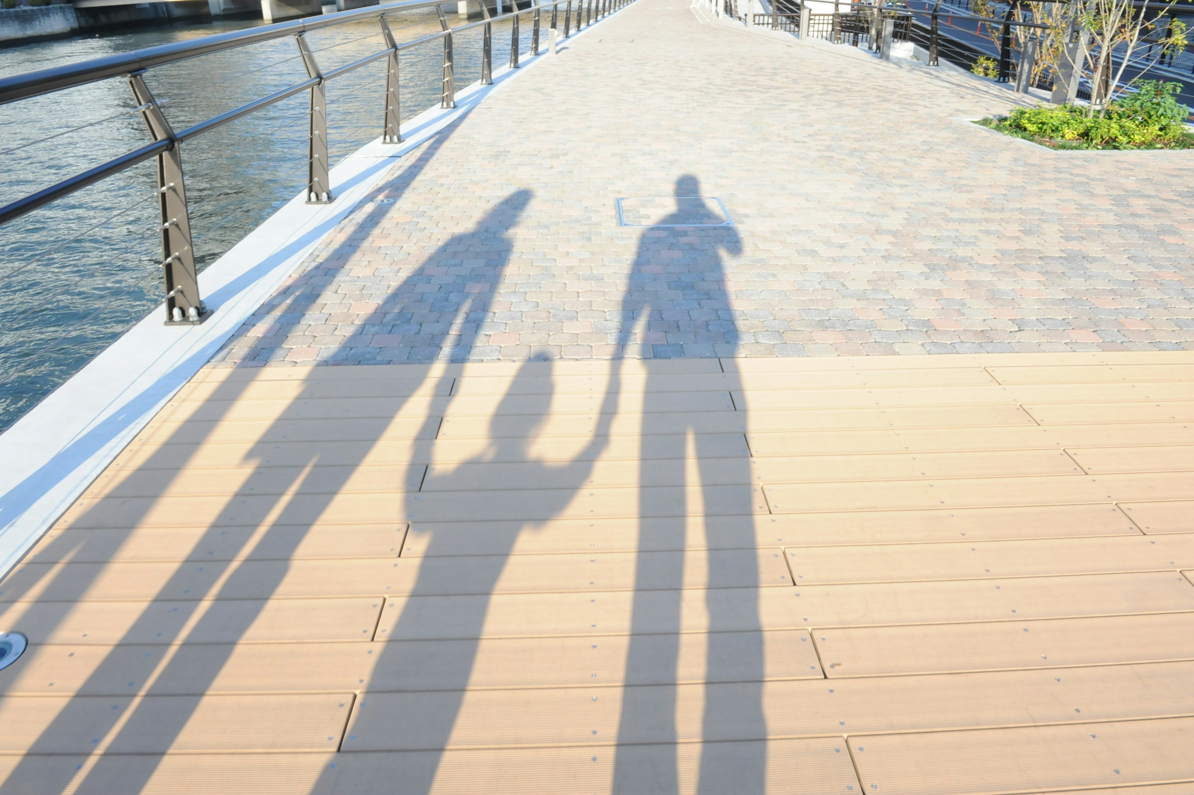 Shadows of a parent and child holding hands on a walkway