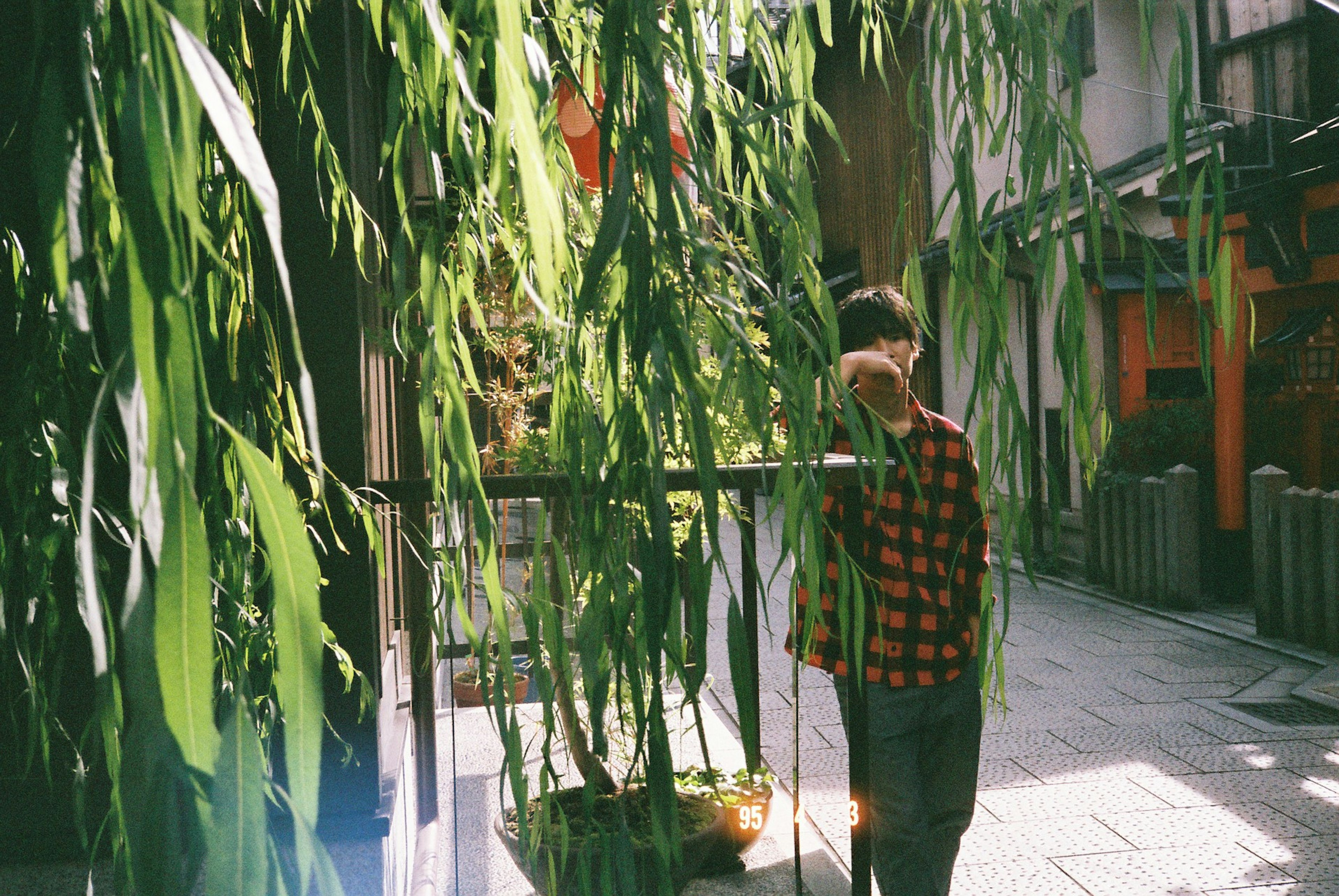 A young person standing in a street surrounded by green leaves