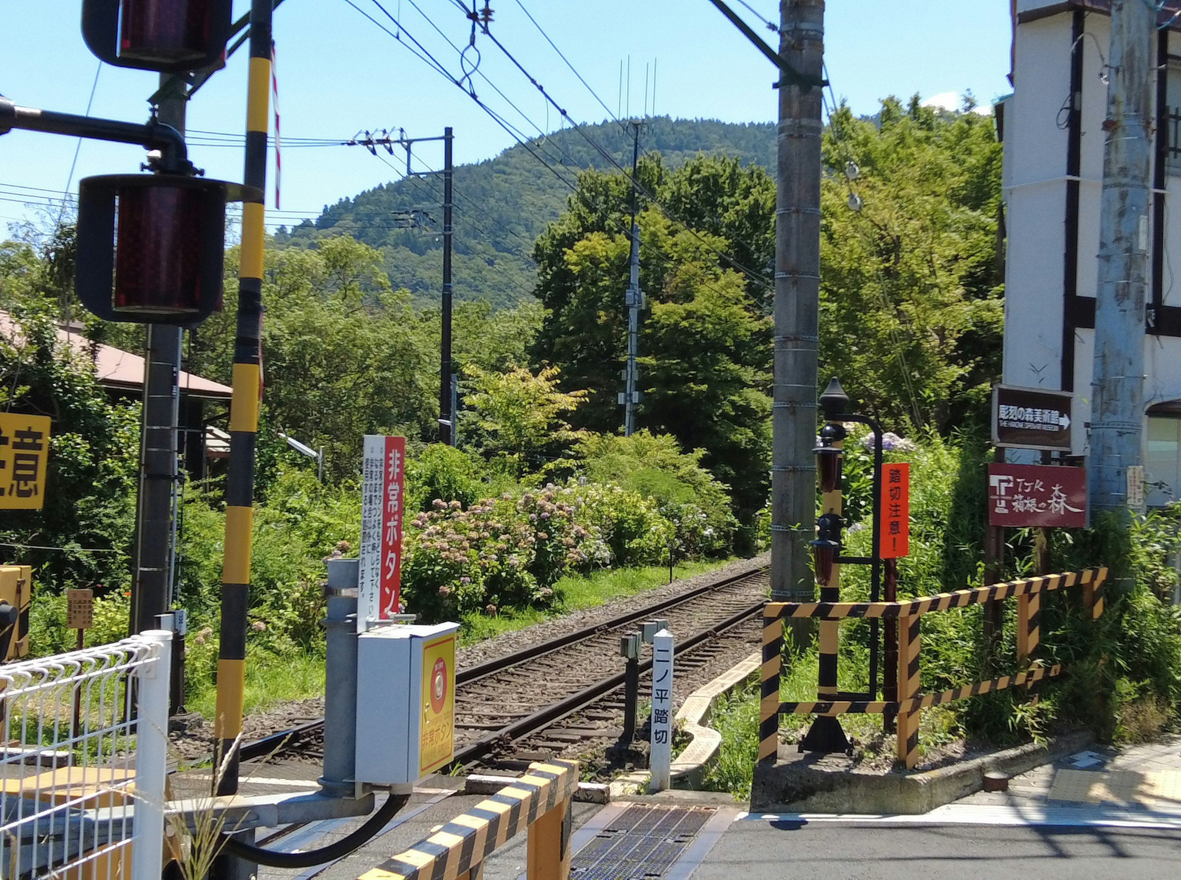 A railway crossing with signals surrounded by lush greenery