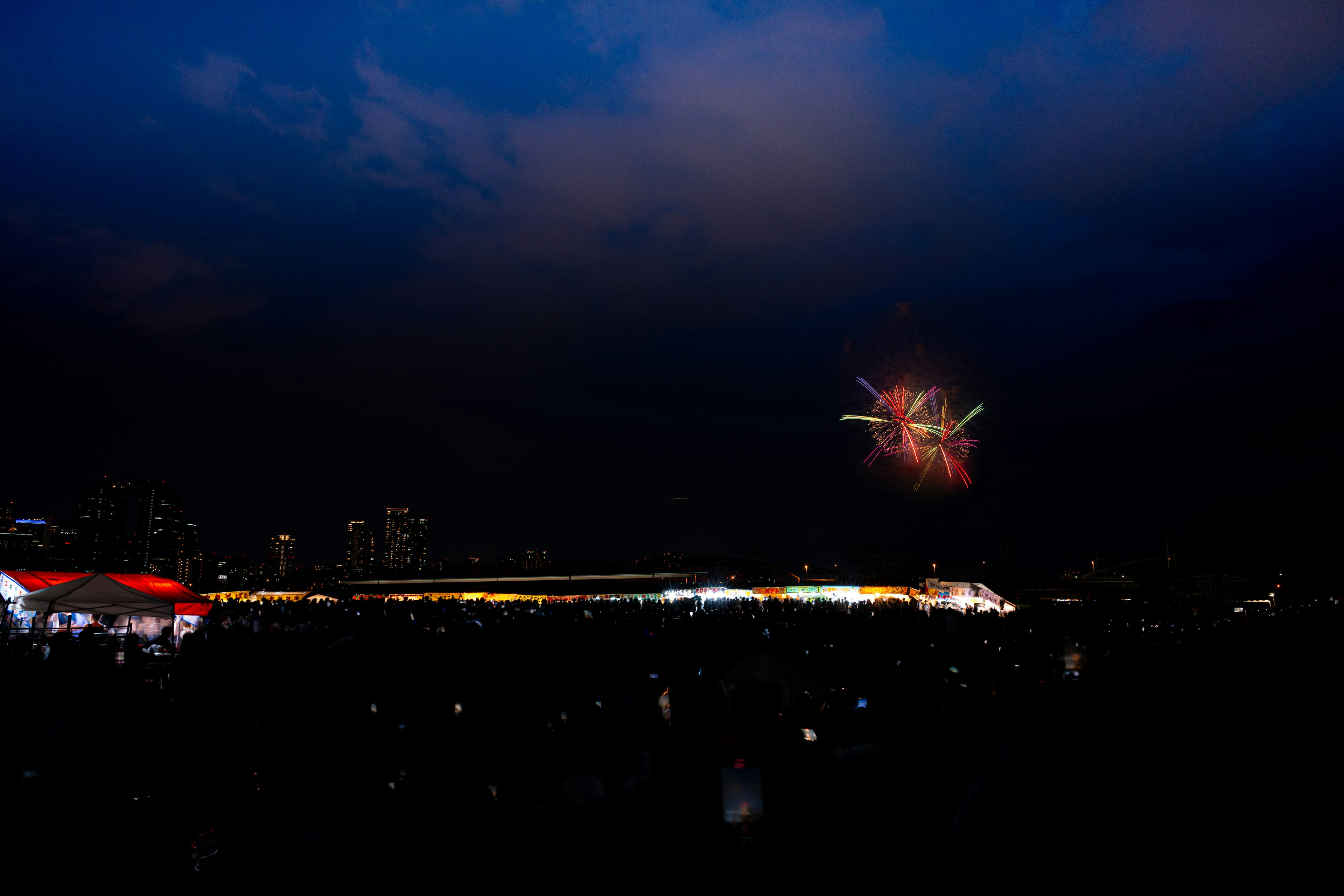 夜空中绽放烟花，观众在观看