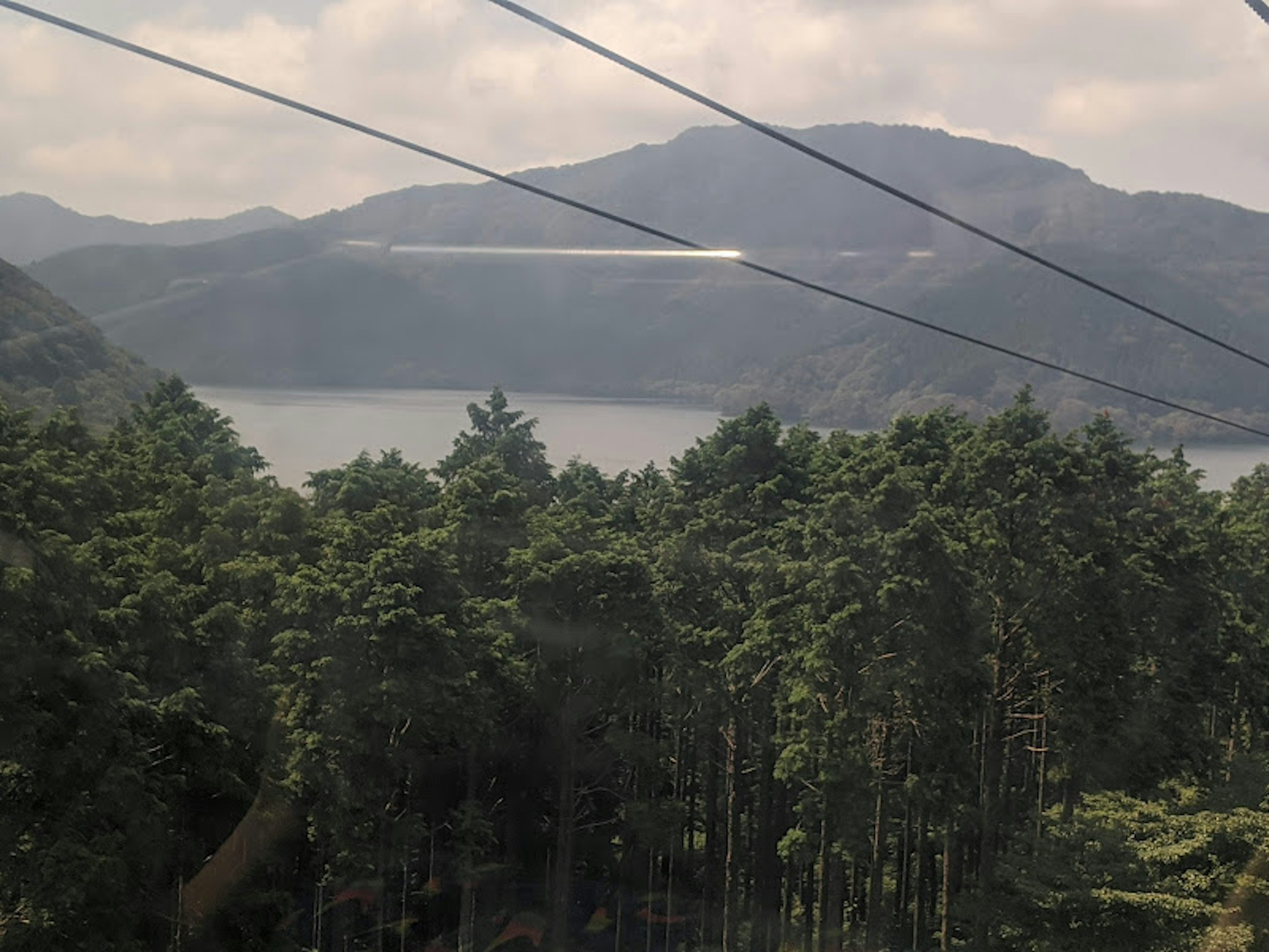 Üppige grüne Waldlandschaft mit Bergen und See