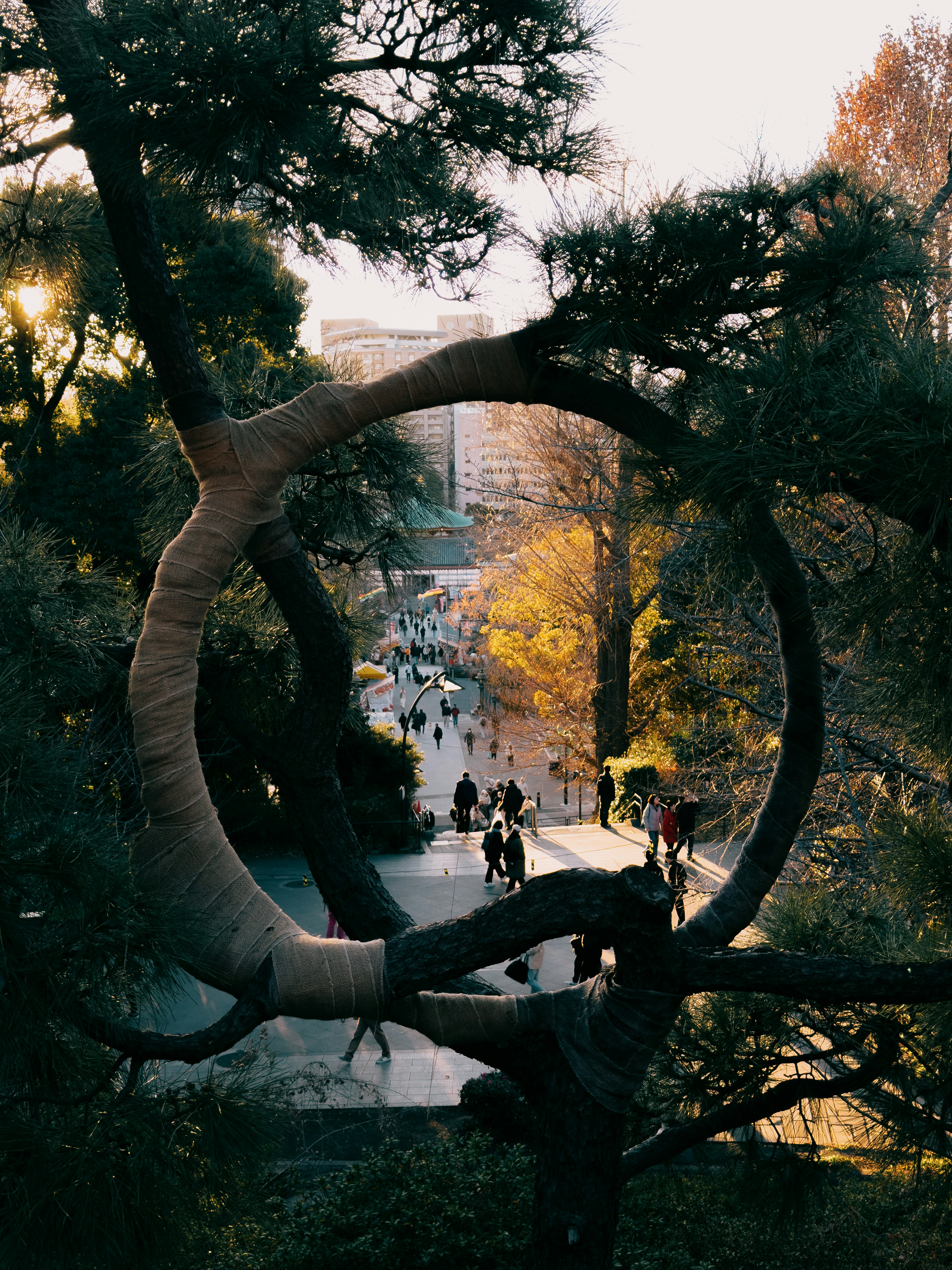 Vue de personnes dans un parc d'automne à travers un cadre d'arbre circulaire