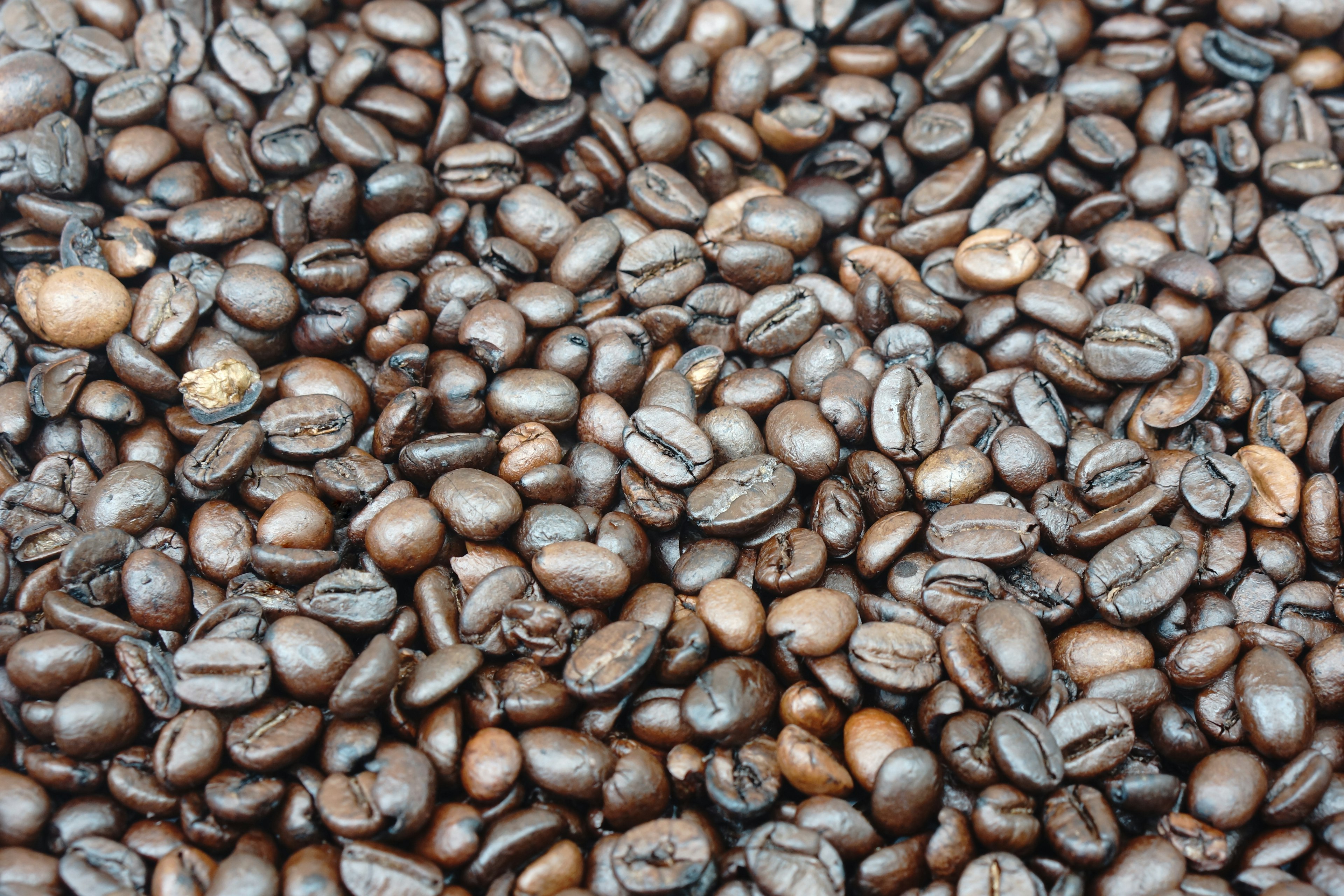 Image en gros plan de grains de café présentant une variété de nuances de brun foncé