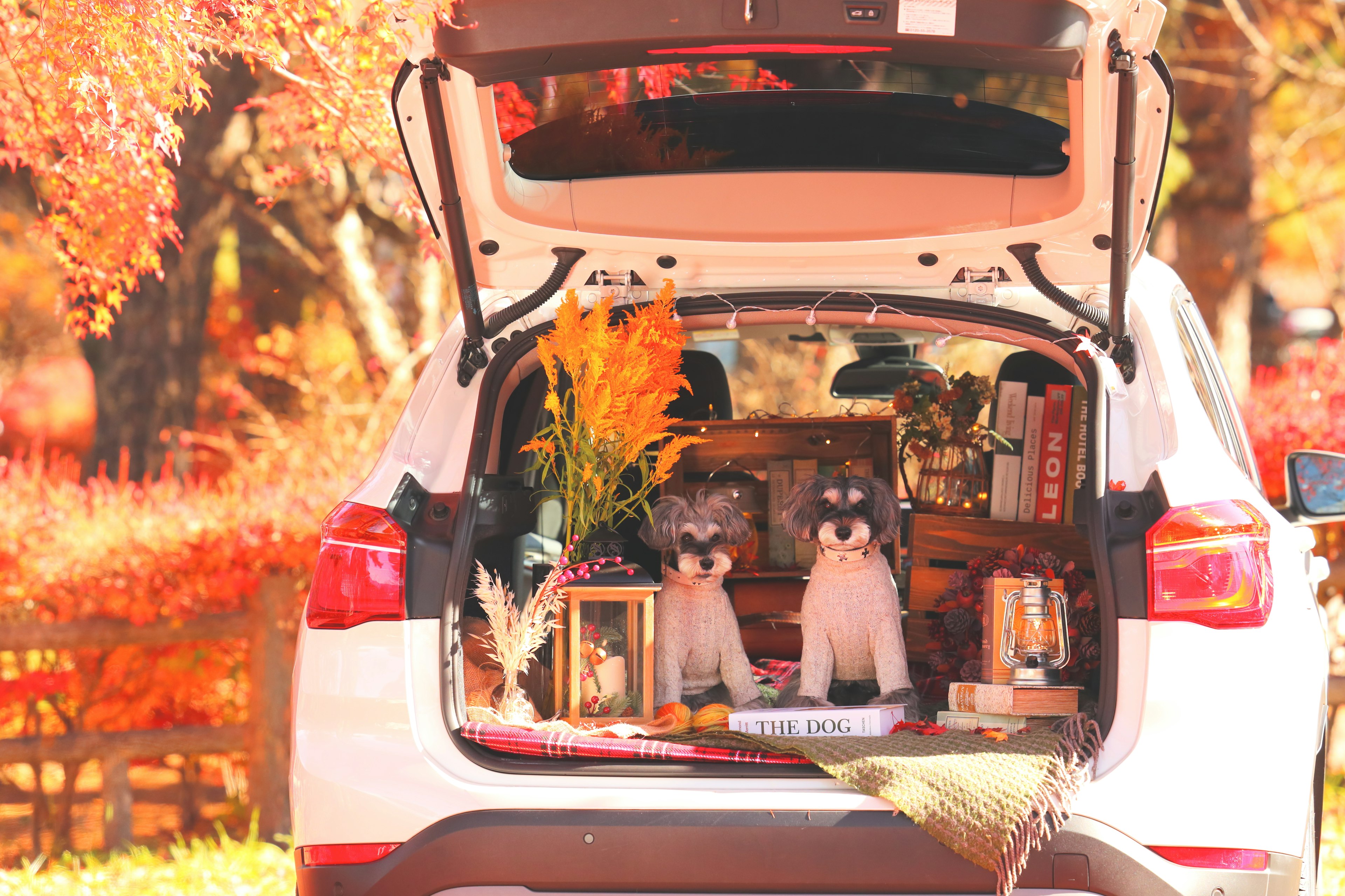 Un maletero de coche acogedor decorado con plantas libros y perros de peluche en un entorno otoñal