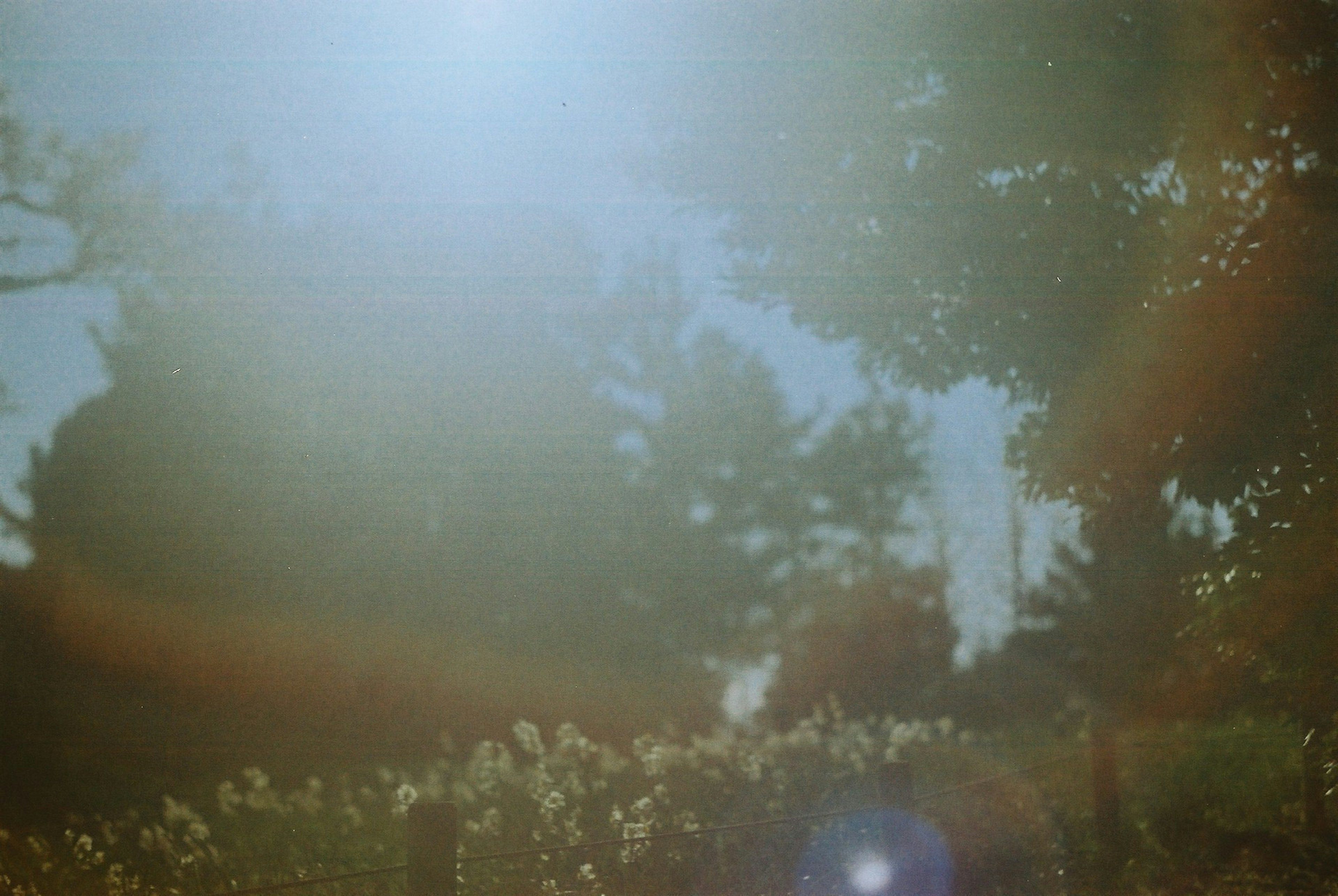 A hazy landscape featuring sunlight and trees