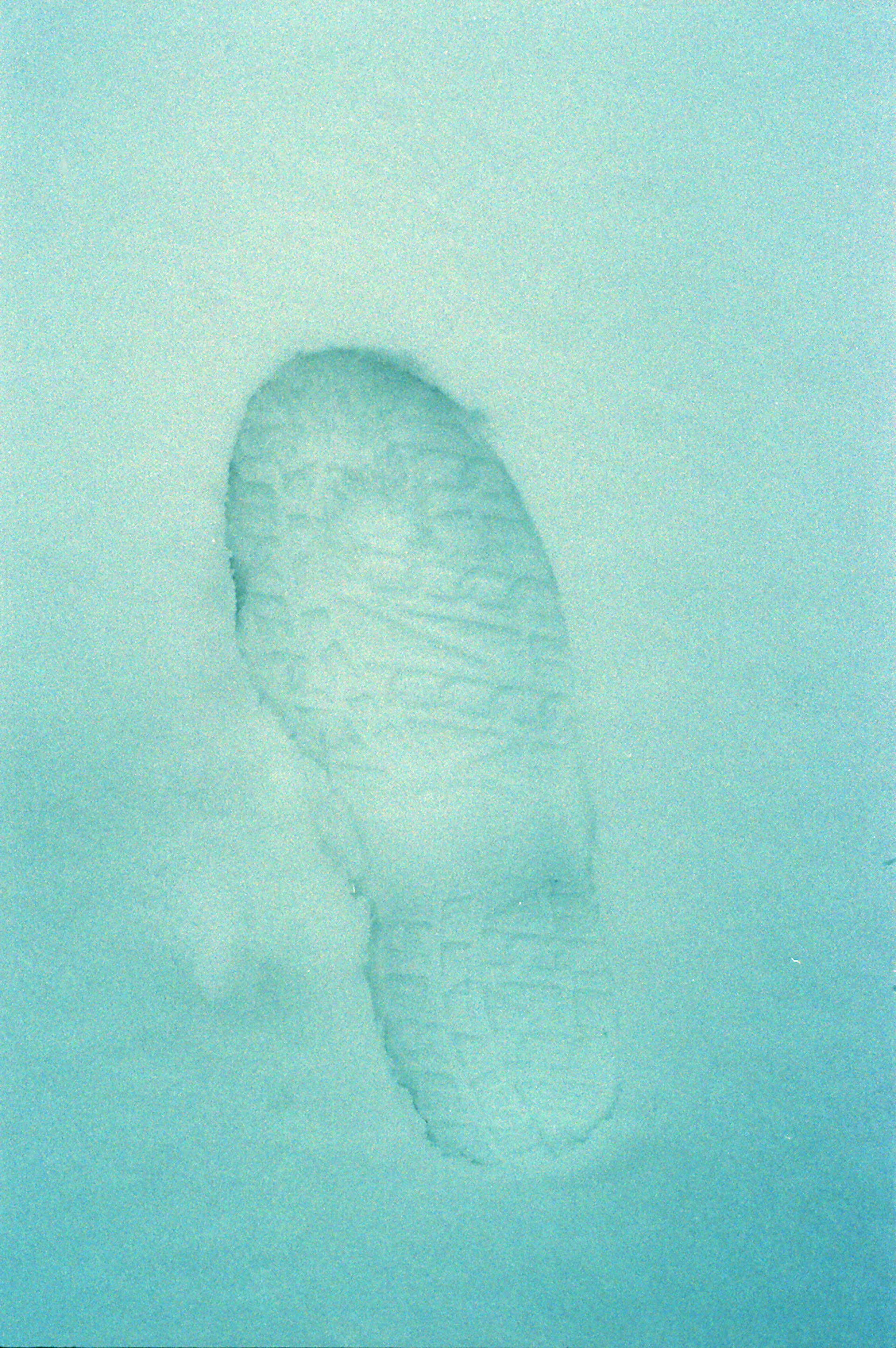 Close-up of a footprint in the snow